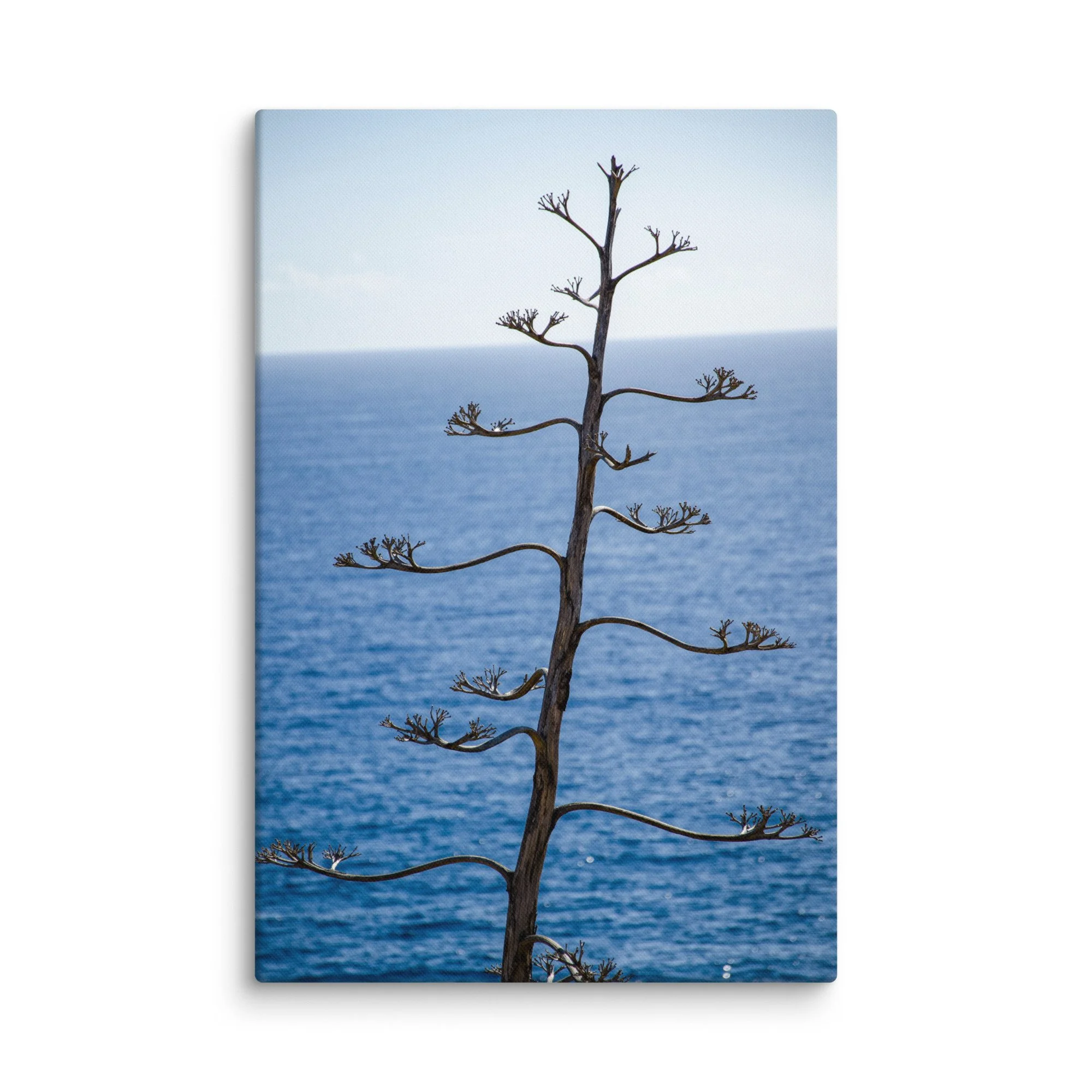 all agave plant silhouetted against endless blue Atlantic Ocean and rugged cliffs, Portugal – minimalist coastal travel photography canvas print wall art decor