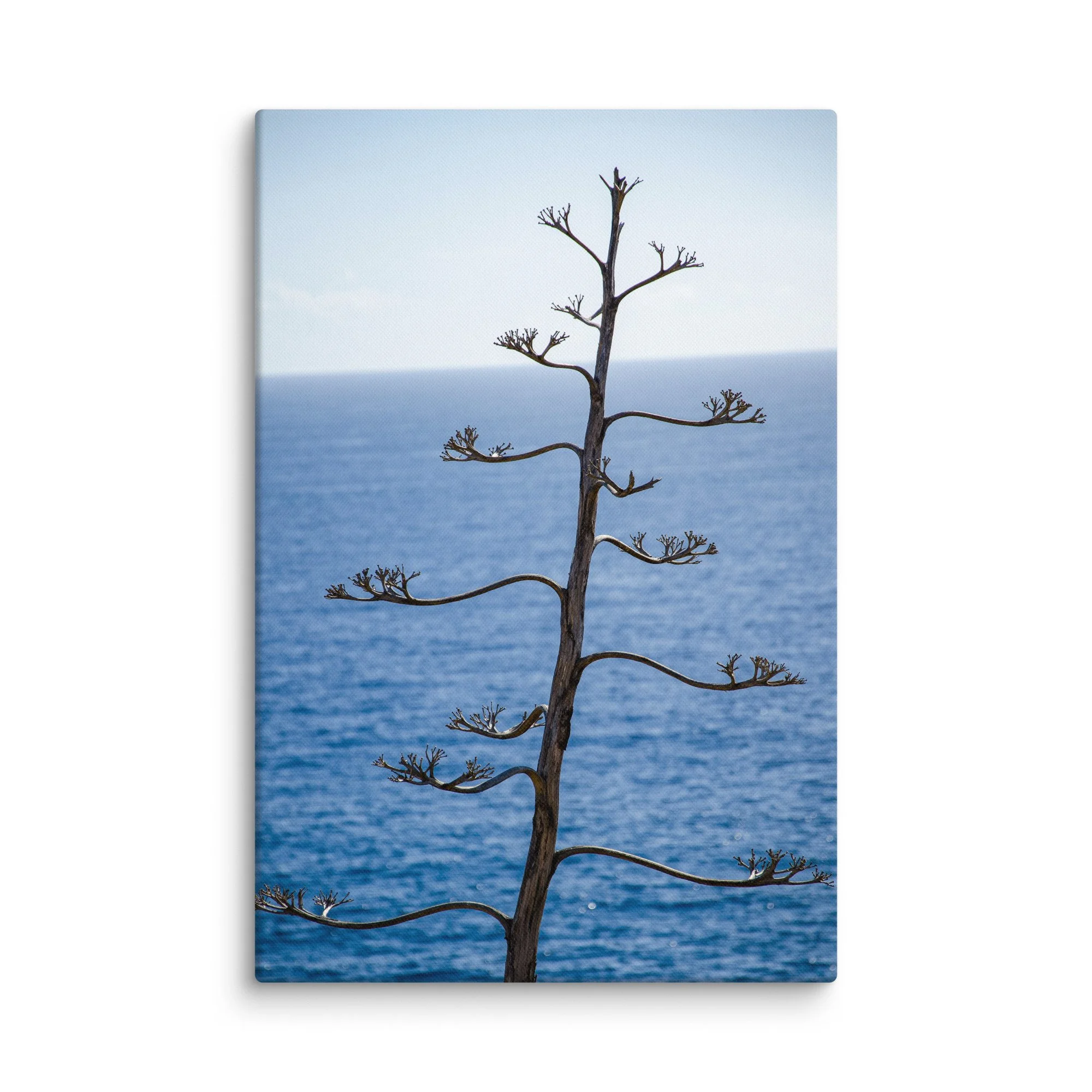 all agave plant silhouetted against endless blue Atlantic Ocean and rugged cliffs, Portugal – minimalist coastal travel photography canvas print wall art decor
