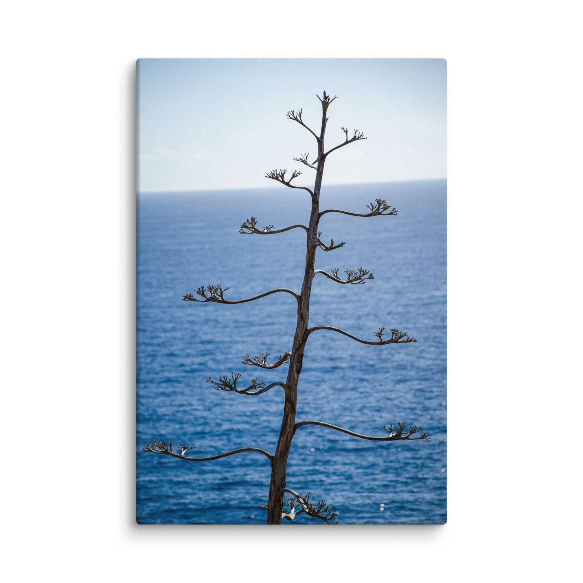 all agave plant silhouetted against endless blue Atlantic Ocean and rugged cliffs, Portugal – minimalist coastal travel photography canvas print wall art decor