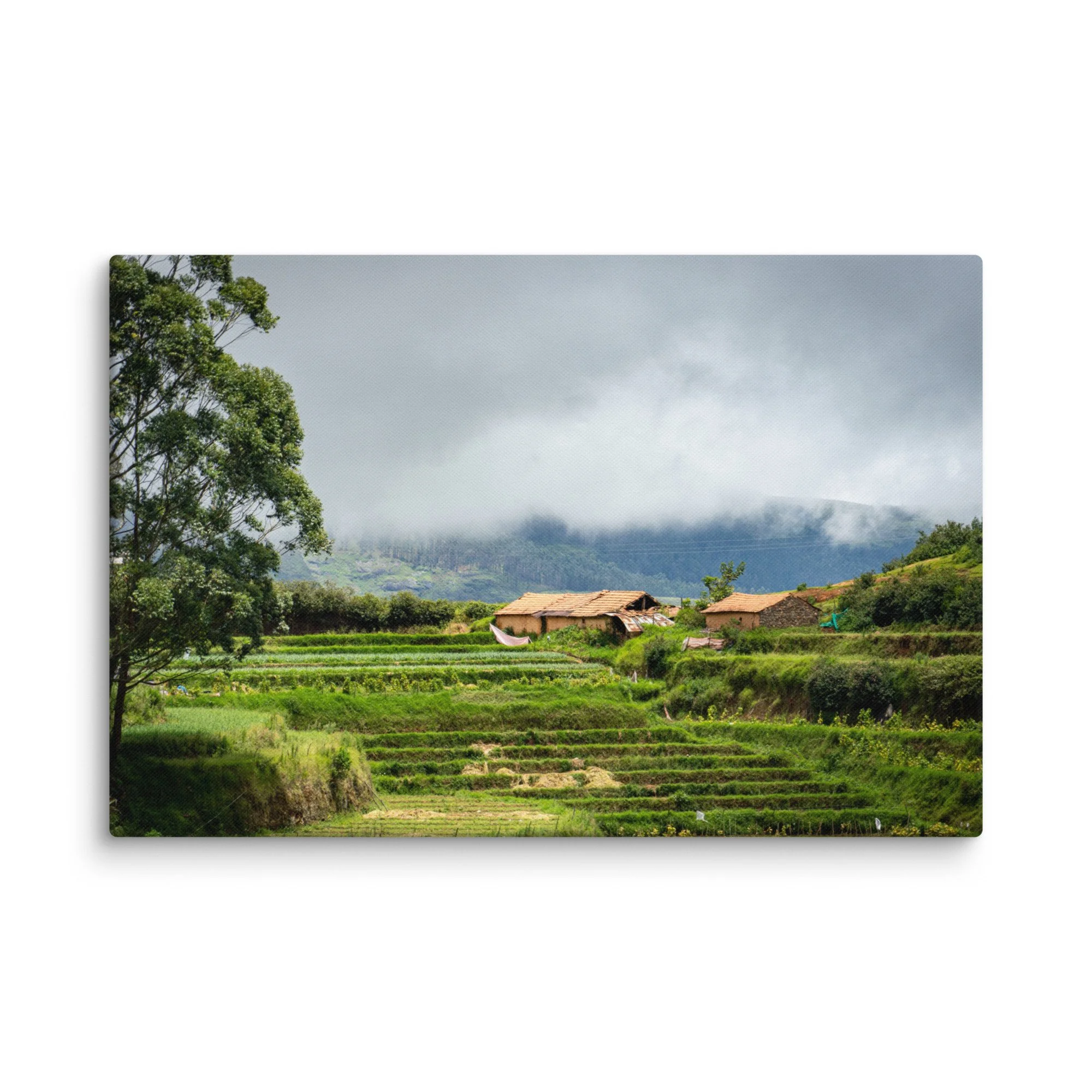 Lush terraced paddy fields and traditional thatched-roof houses in misty Nilgiri hills, Tamil Nadu, South India – rural travel photography canvas print wall art decor