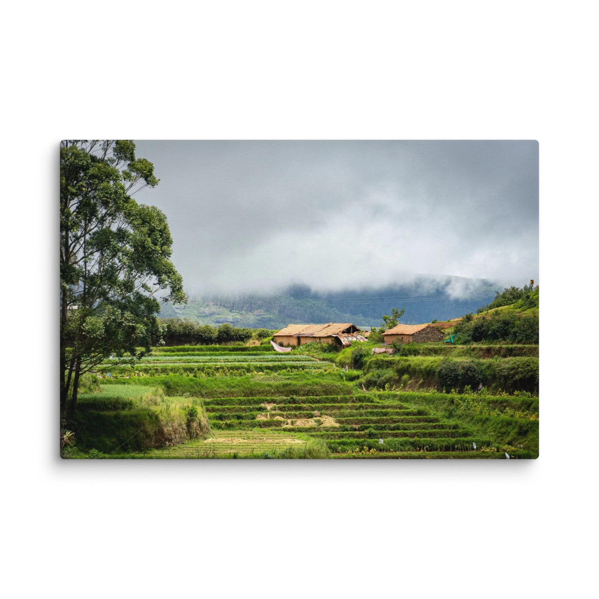 Lush terraced paddy fields and traditional thatched-roof houses in misty Nilgiri hills, Tamil Nadu, South India – rural travel photography canvas print wall art decor