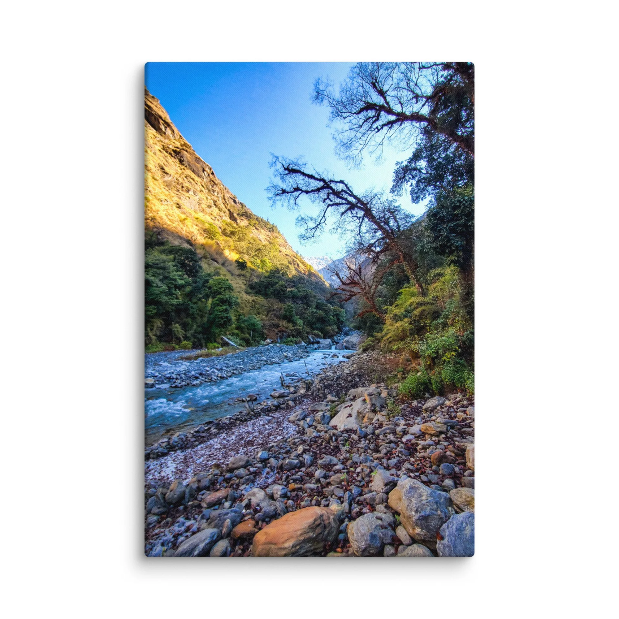 Crystal-clear turquoise Langtang River flowing through rocky gorge with majestic snow-capped peaks and pine forests under golden sunlight, Langtang Valley, Nepal – Himalayan trekking
