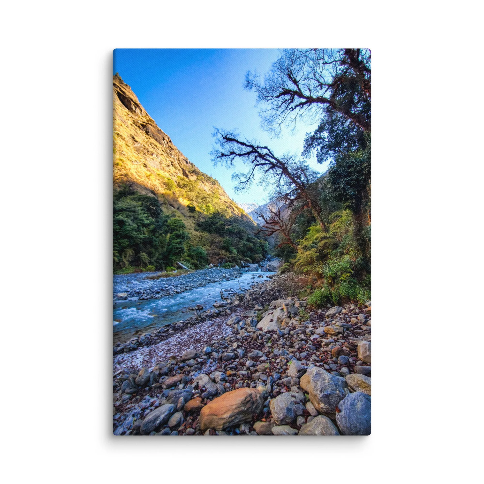 Crystal-clear turquoise Langtang River flowing through rocky gorge with majestic snow-capped peaks and pine forests under golden sunlight, Langtang Valley, Nepal – Himalayan trekking