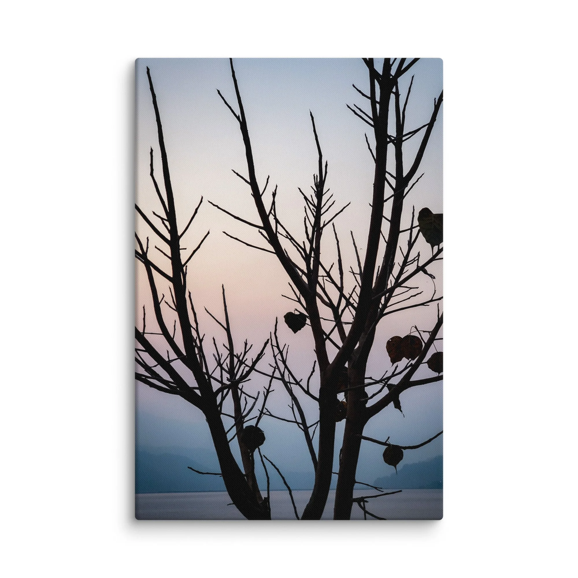 Silhouetted dead tree with heart-shaped leaves against calm Phewa Lake at twilight with misty Himalayan foothills in the background, Pokhara, Nepal – serene lakeside travel photography