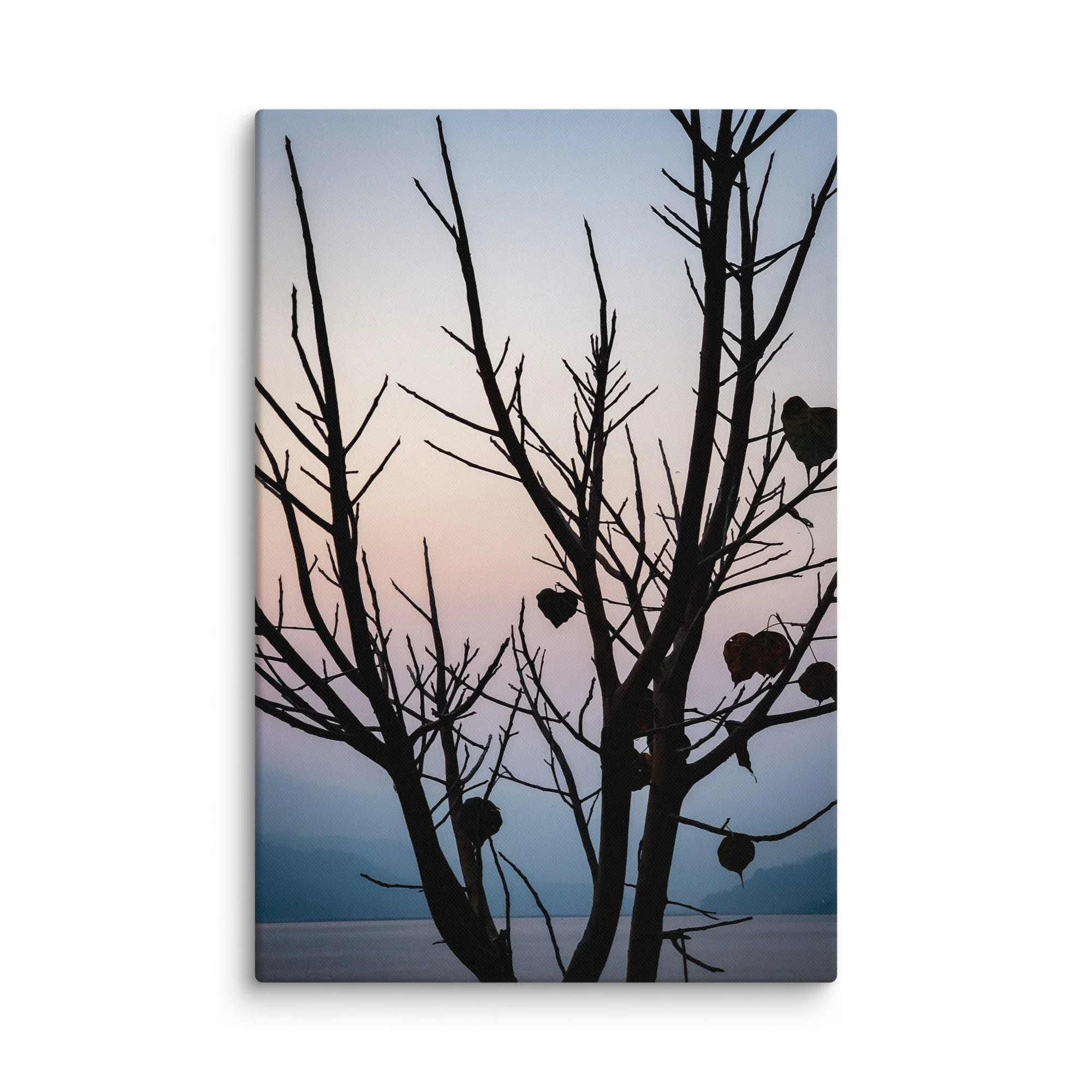 Silhouetted dead tree with heart-shaped leaves against calm Phewa Lake at twilight with misty Himalayan foothills in the background, Pokhara, Nepal – serene lakeside travel photography