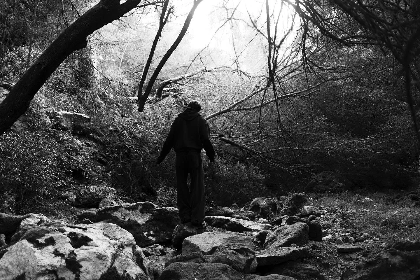 I died happy in my sleep