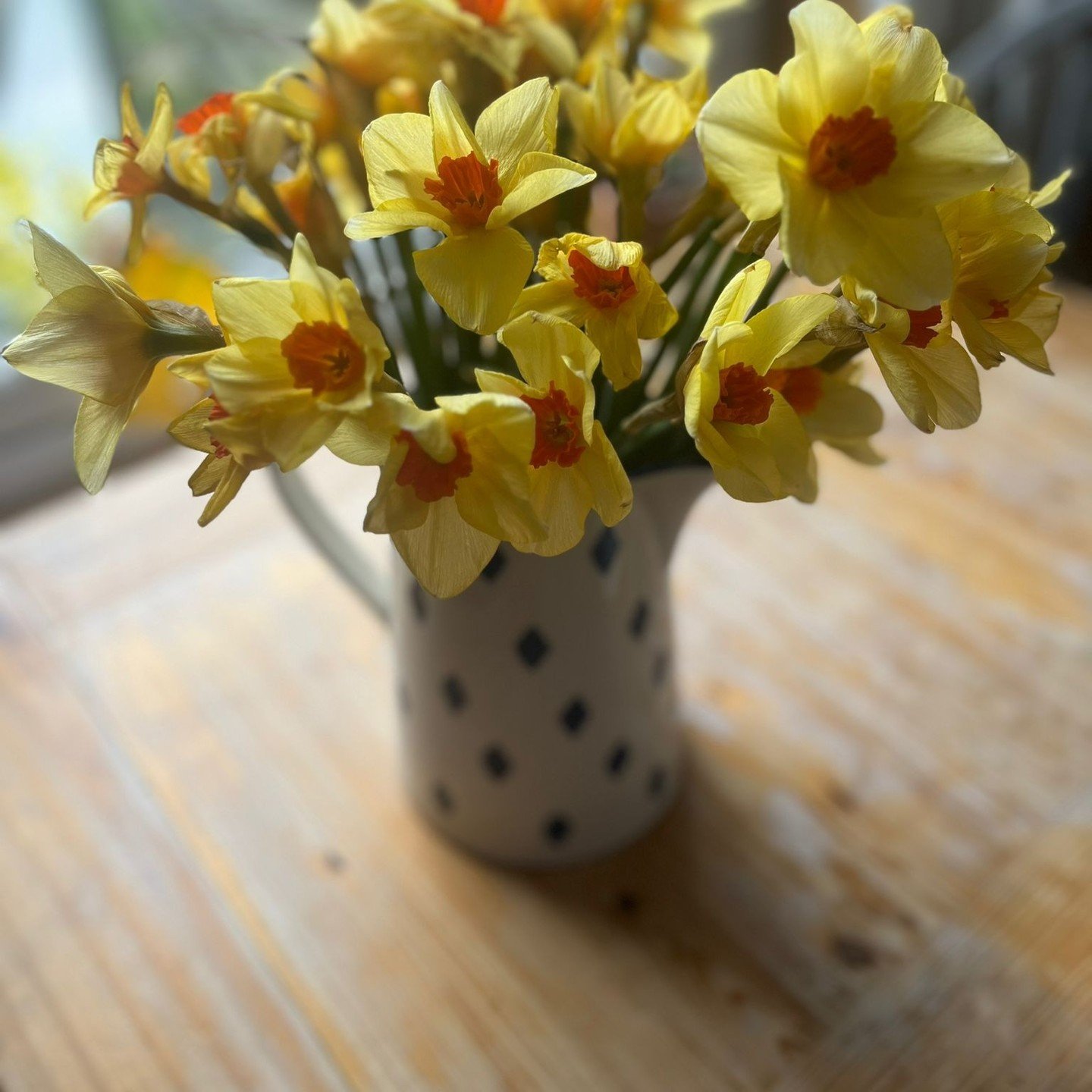 🌍💪 Embracing Earth Day with flowers from the garden, green foods, rest and self-care 🌿✨

Happy Earth Day, everyone! 🌎 Let's celebrate this special day by nurturing not only our planet but also our bodies and spirits. Today, we're inspired to merg