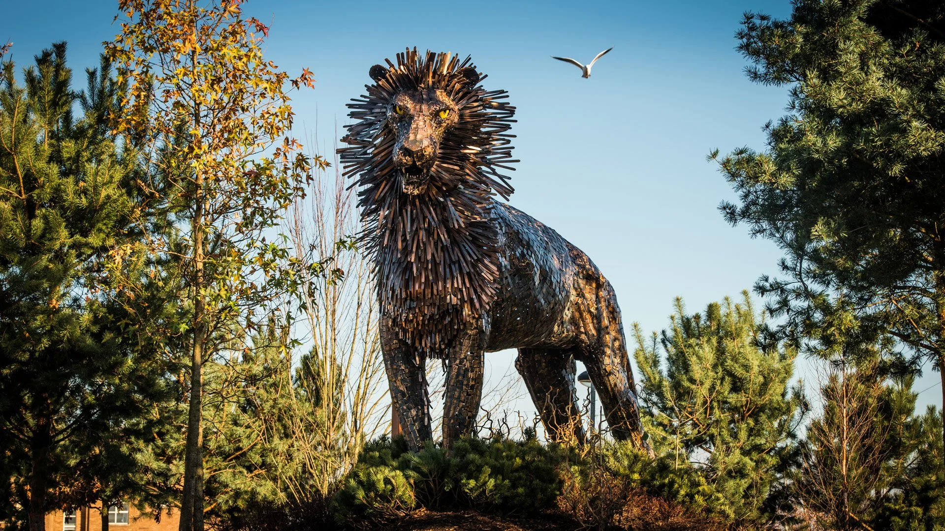 Aslan-at-CS-Lewis-Square_1557876254.jpg