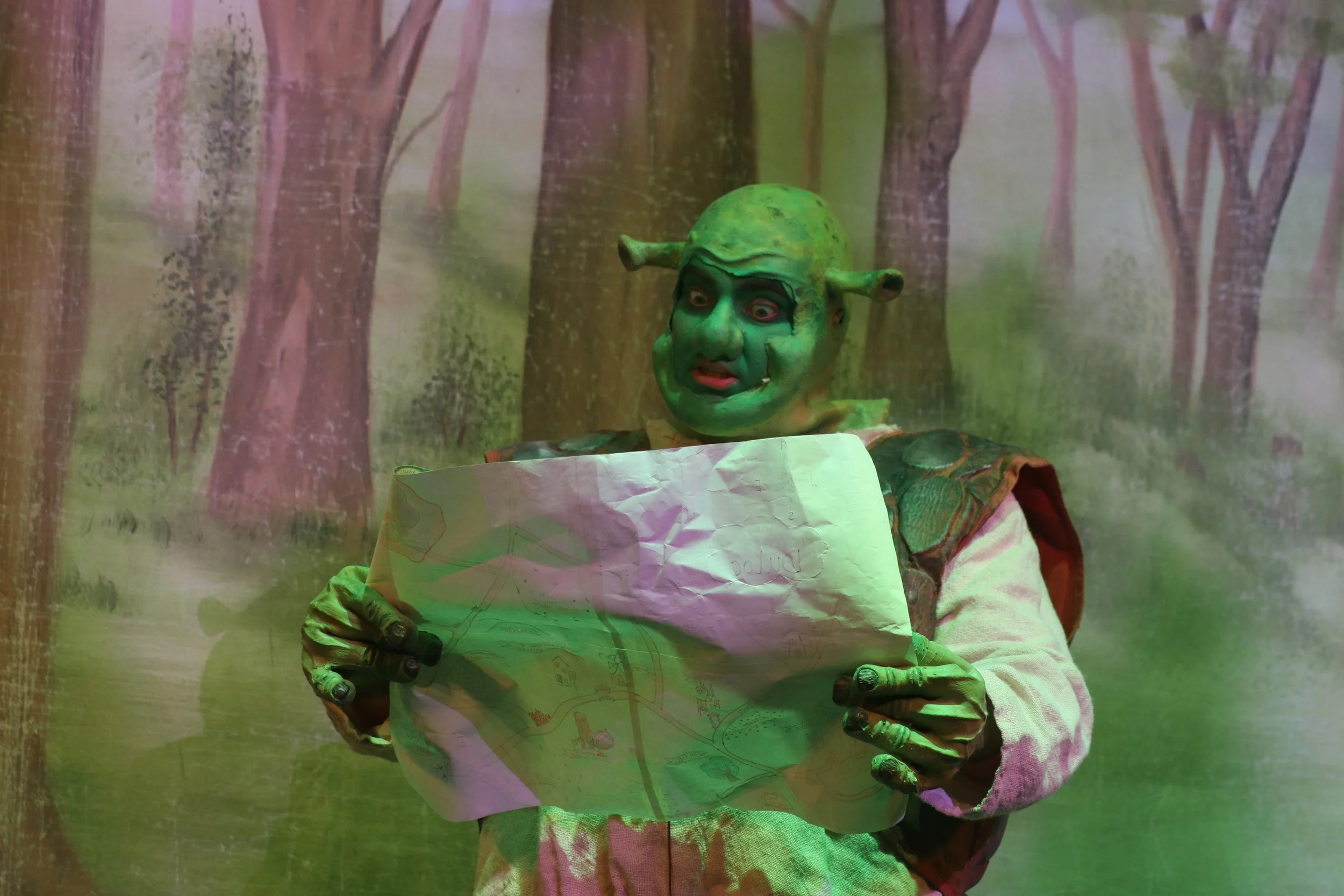 SHREK THE MUSICAL <span> Director & Choreographer </span>
