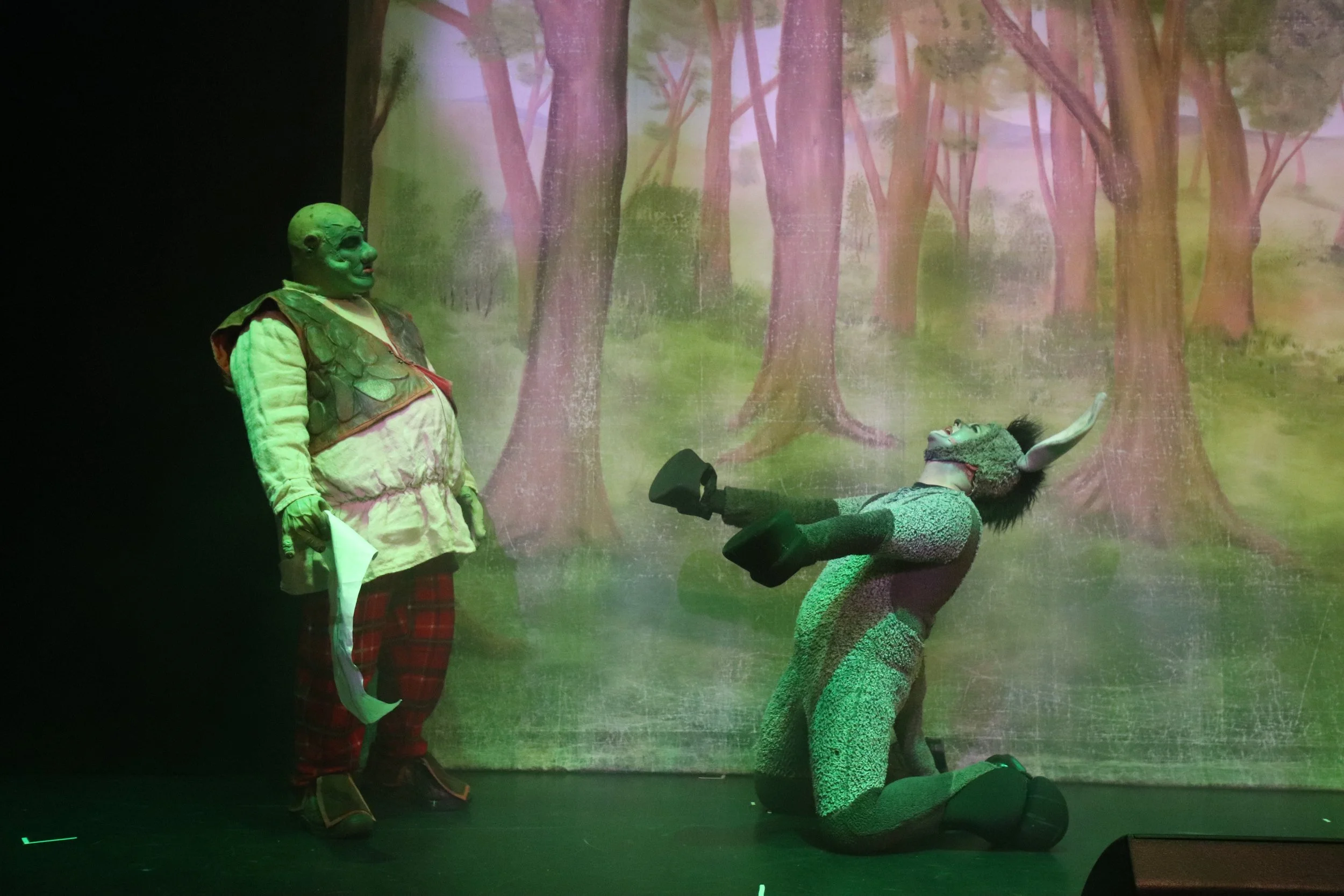 Shrek - Quay Players - IMG_3245.JPG