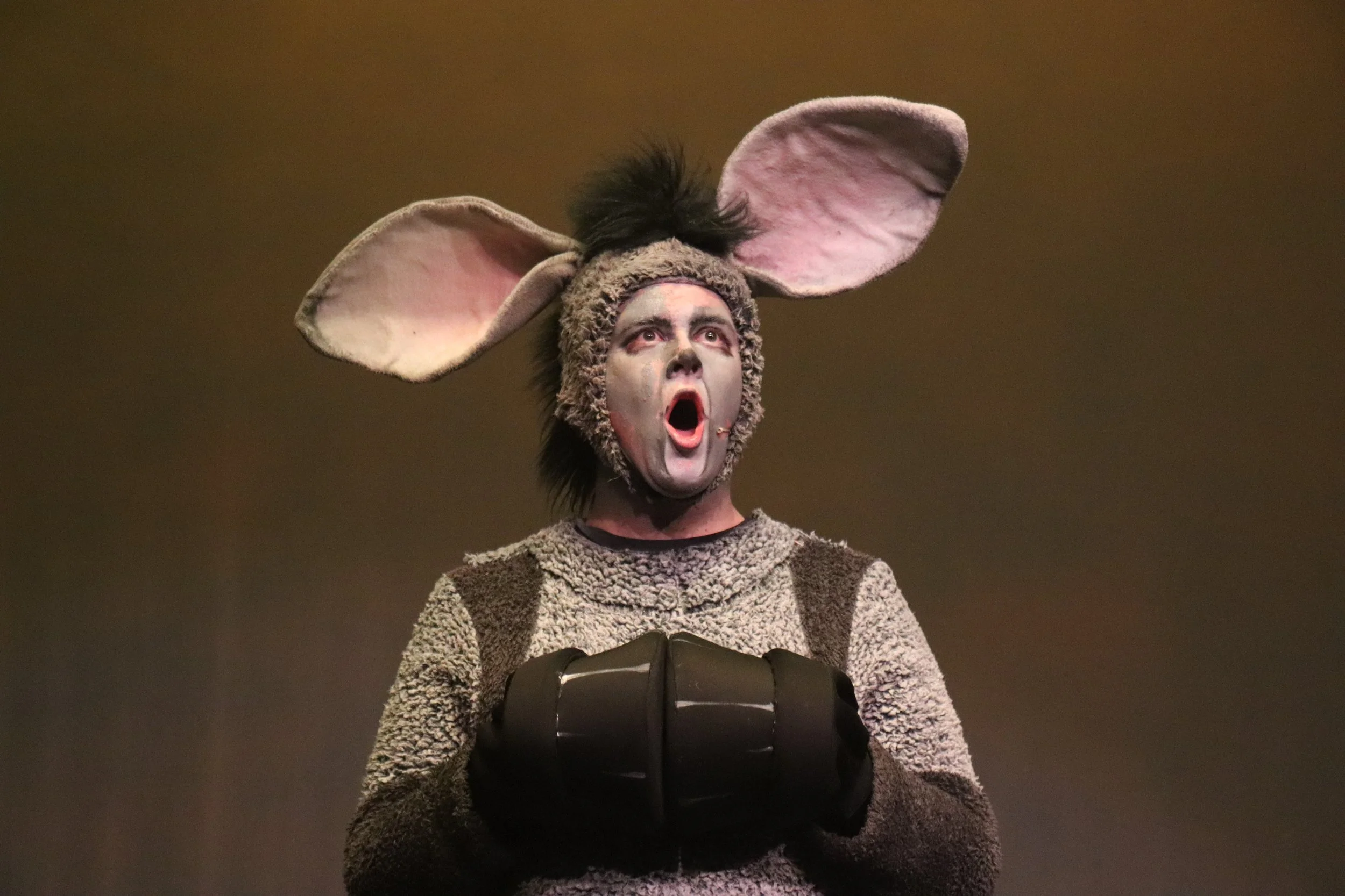 Shrek - Quay Players - IMG_3311_2.JPG