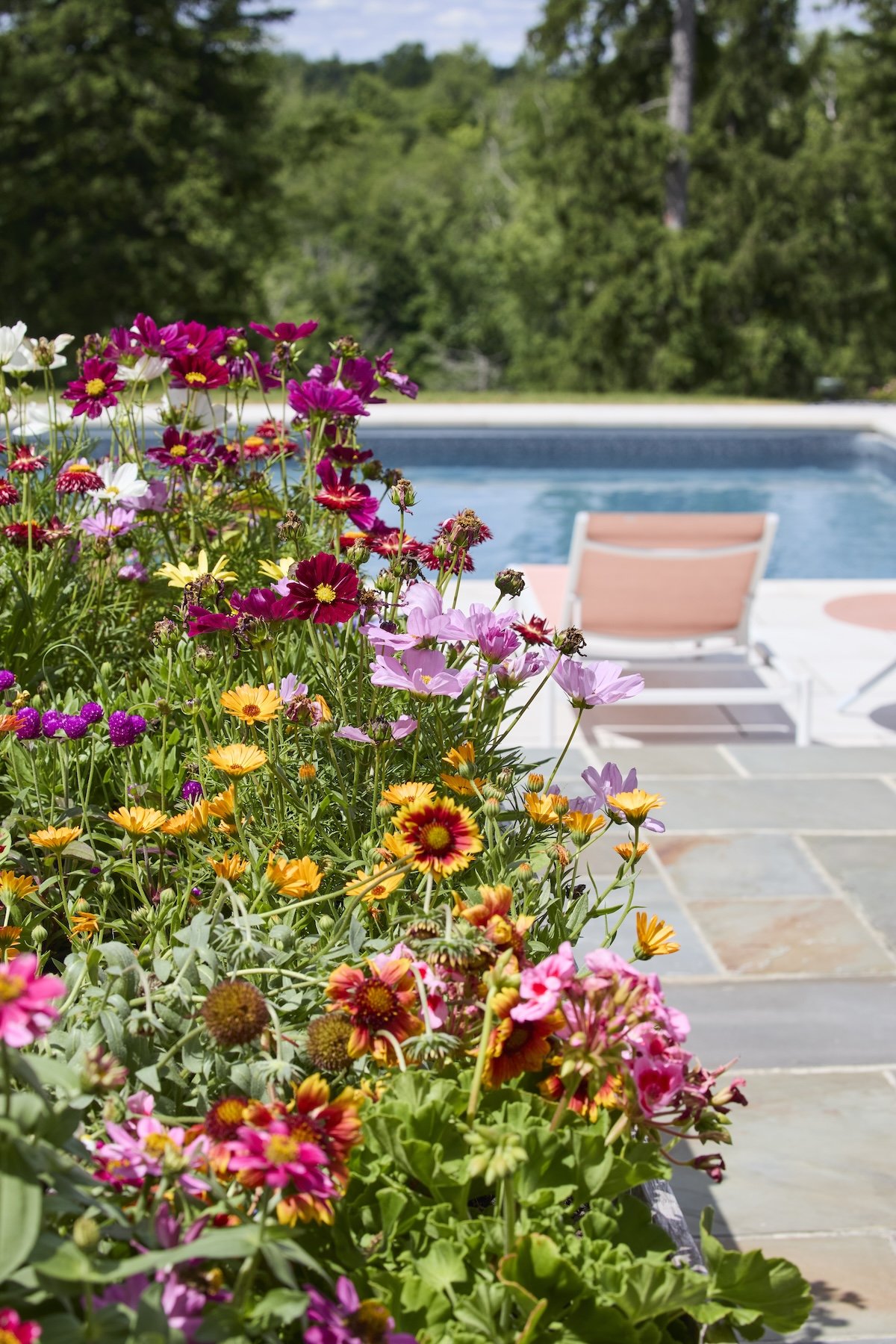 poolside view with blush lounge chairs vibrant flowers lush green backdrop 