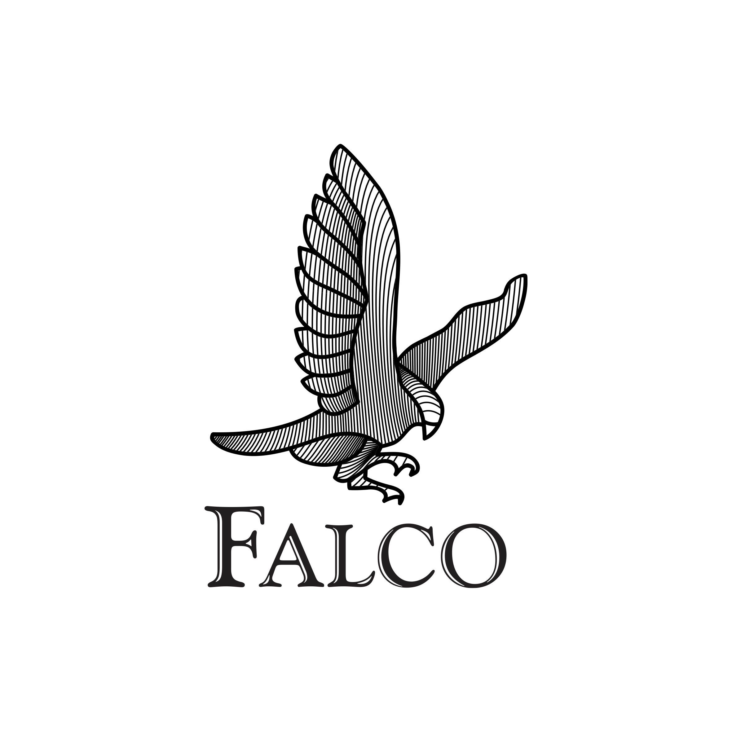 Web falco.jpg