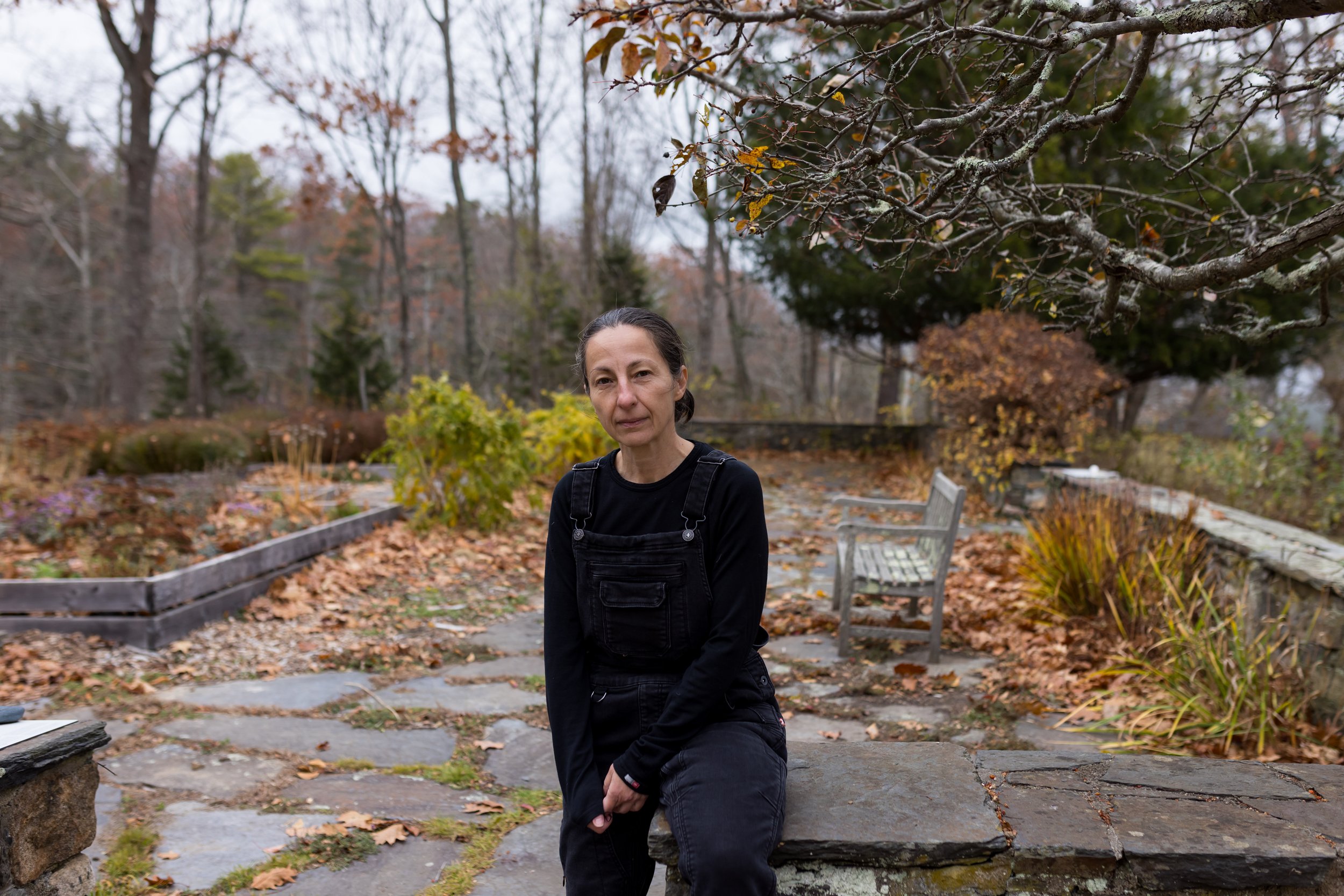 Rozalinda Borcilă - October-November 2025