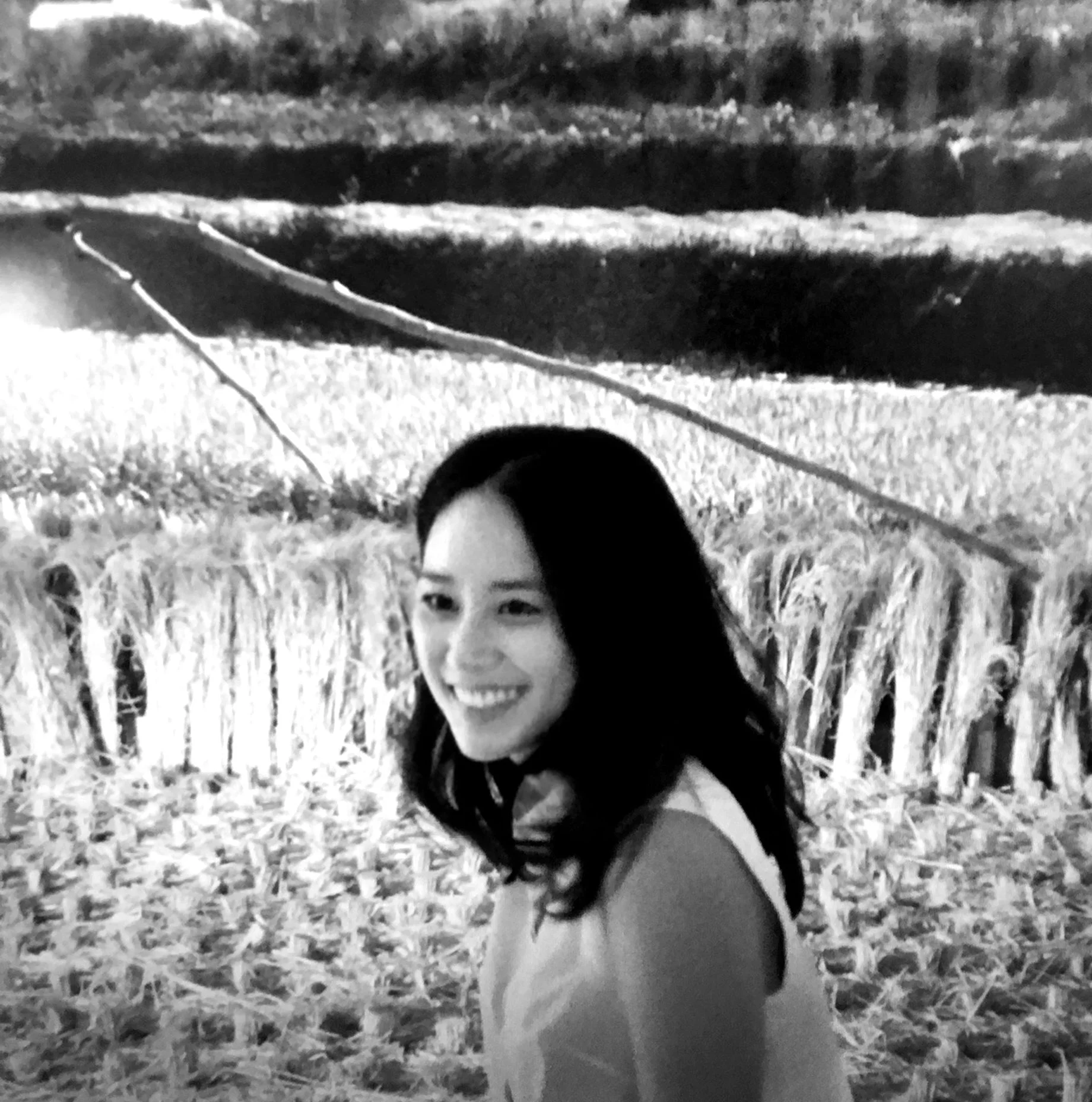 dahn gim, May - June 2026