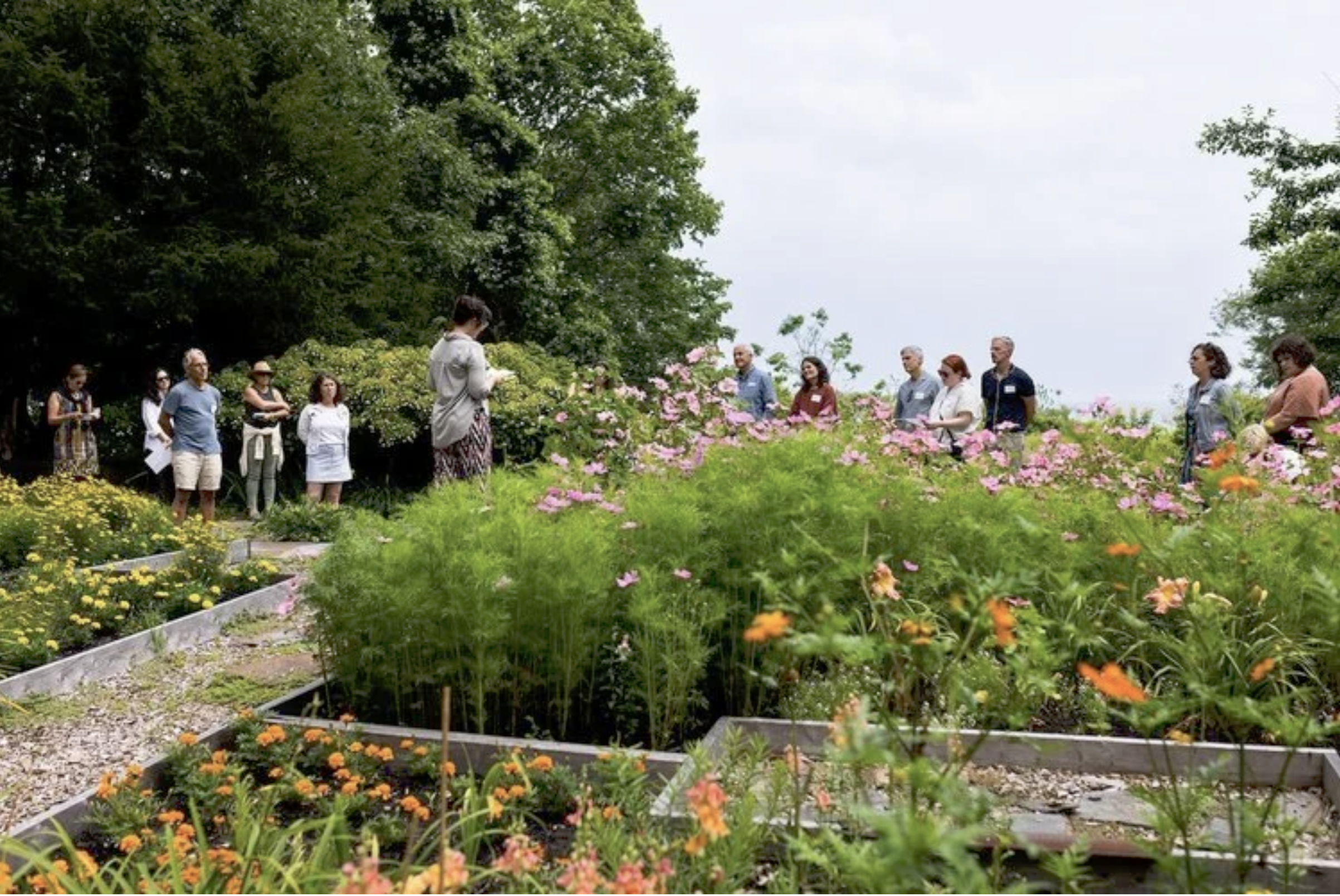 Cultivating Creativity: An Artist’s Garden at Surf Point, hosted in partnership with the Garden Conservancy.