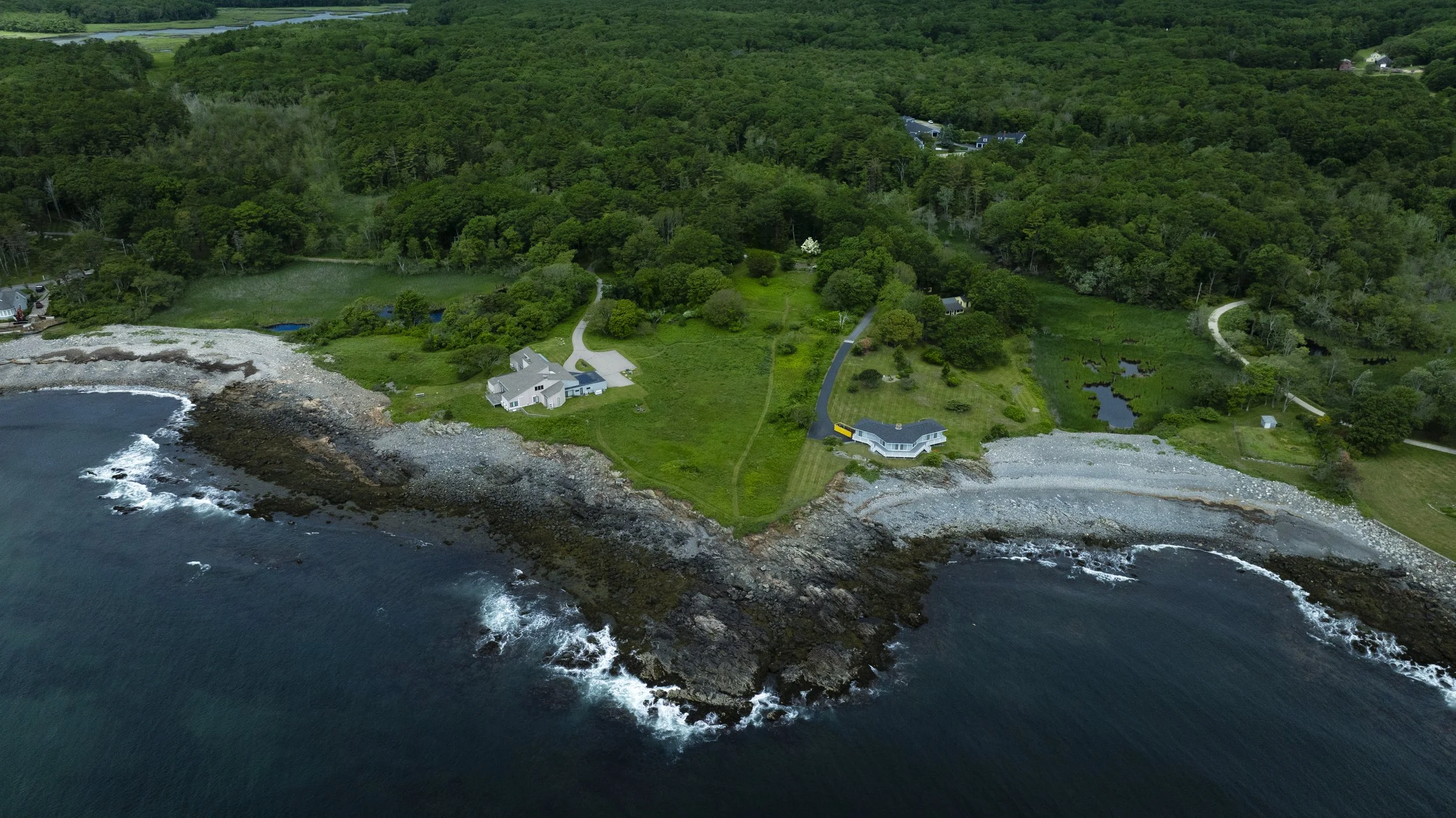 Community Day #15: Celebrating International Biodiversity Day curated by Marisa Mazria Katz
