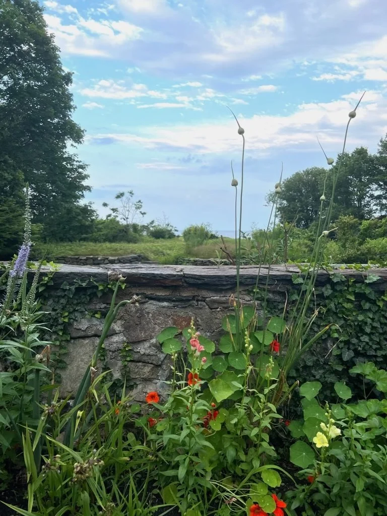 Garden scene with flowers and a stone wall under a blue sky, surrounded by green foliage and trees in the background.