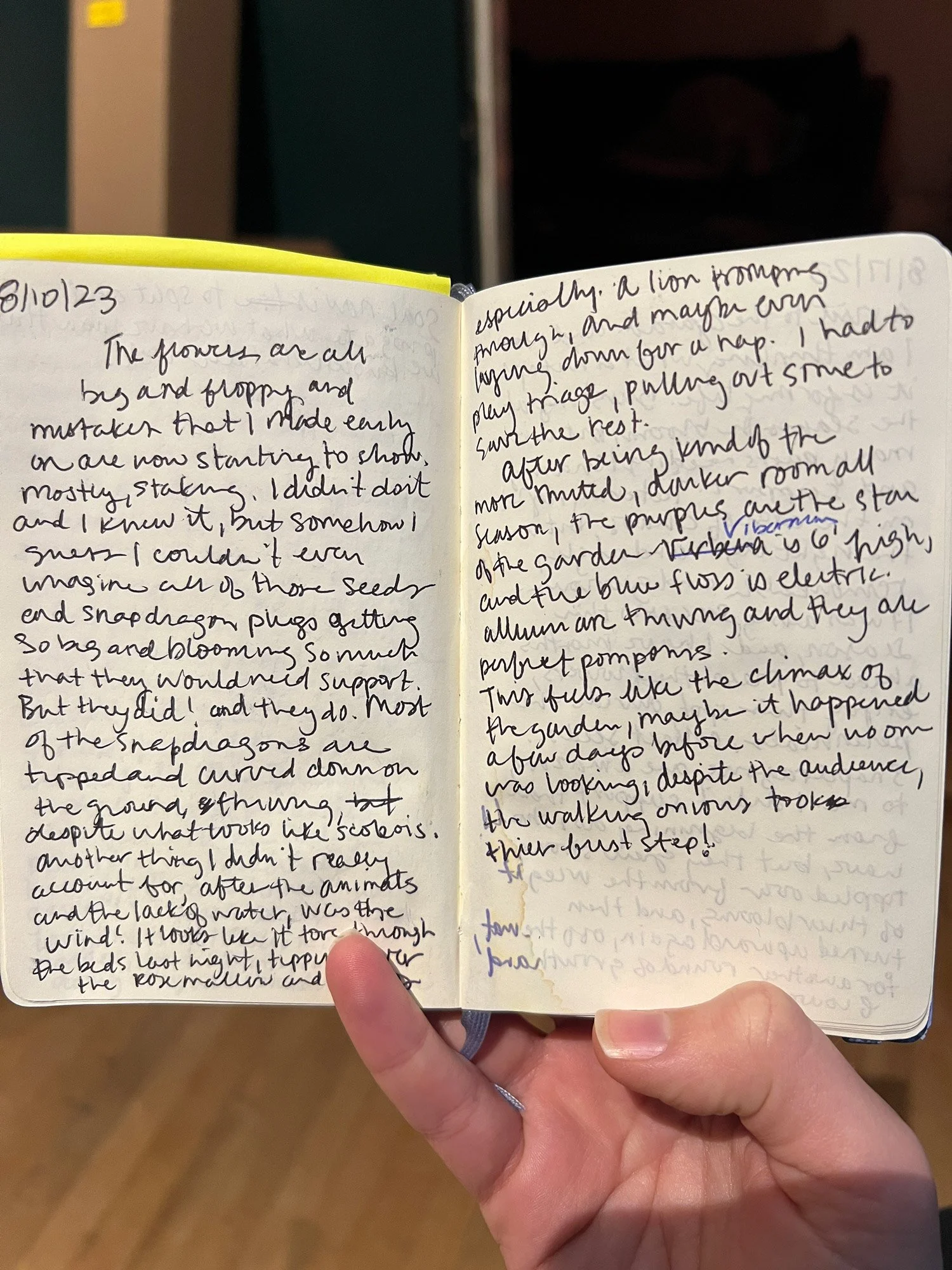 An open handwritten journal with dated entries describing garden observations and experiences, focusing on flowers and plants' growth and care. A hand holding the journal is partially visible.