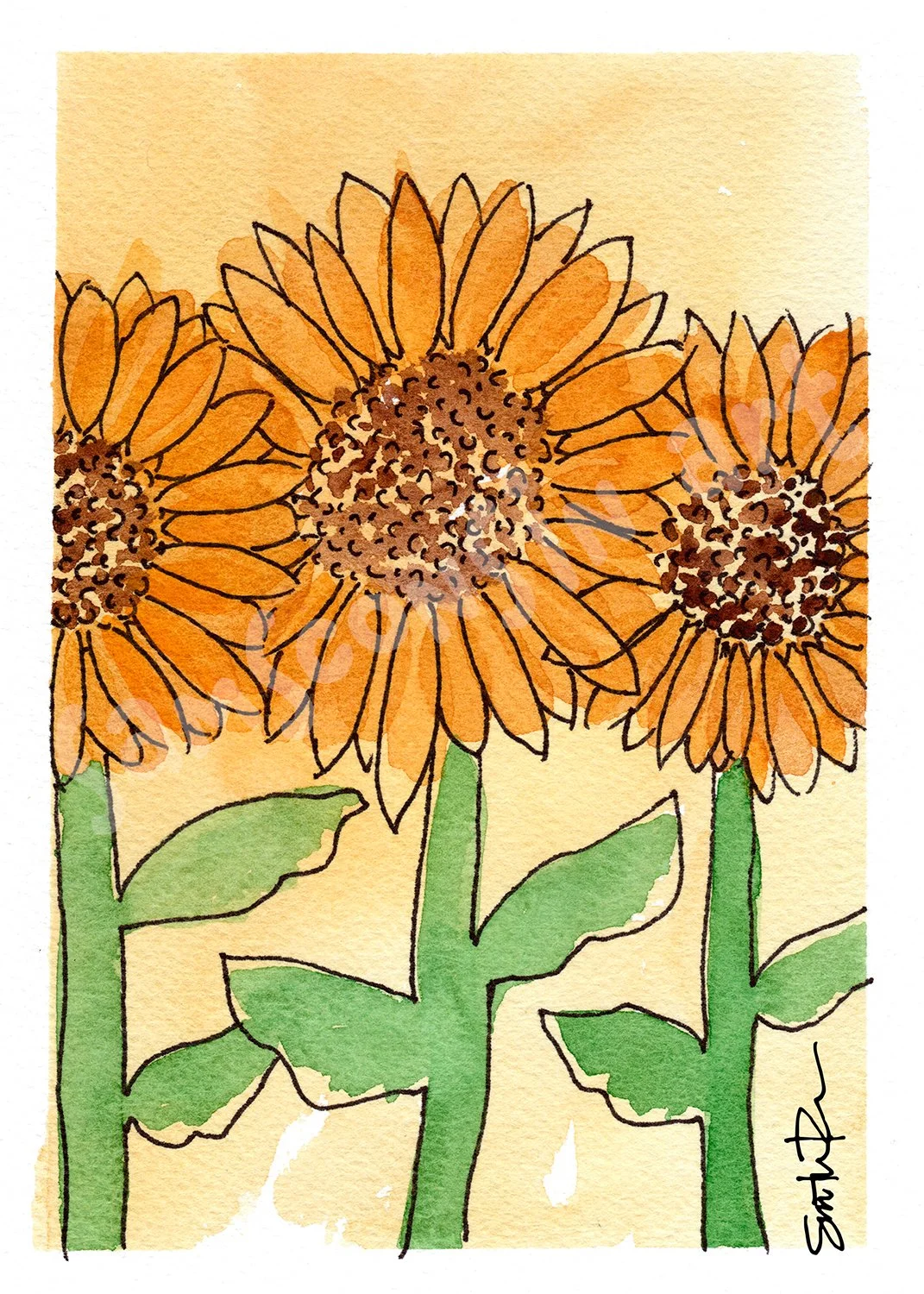 5-2-24 Sunflowers5x7-sig-F-watermark.jpg