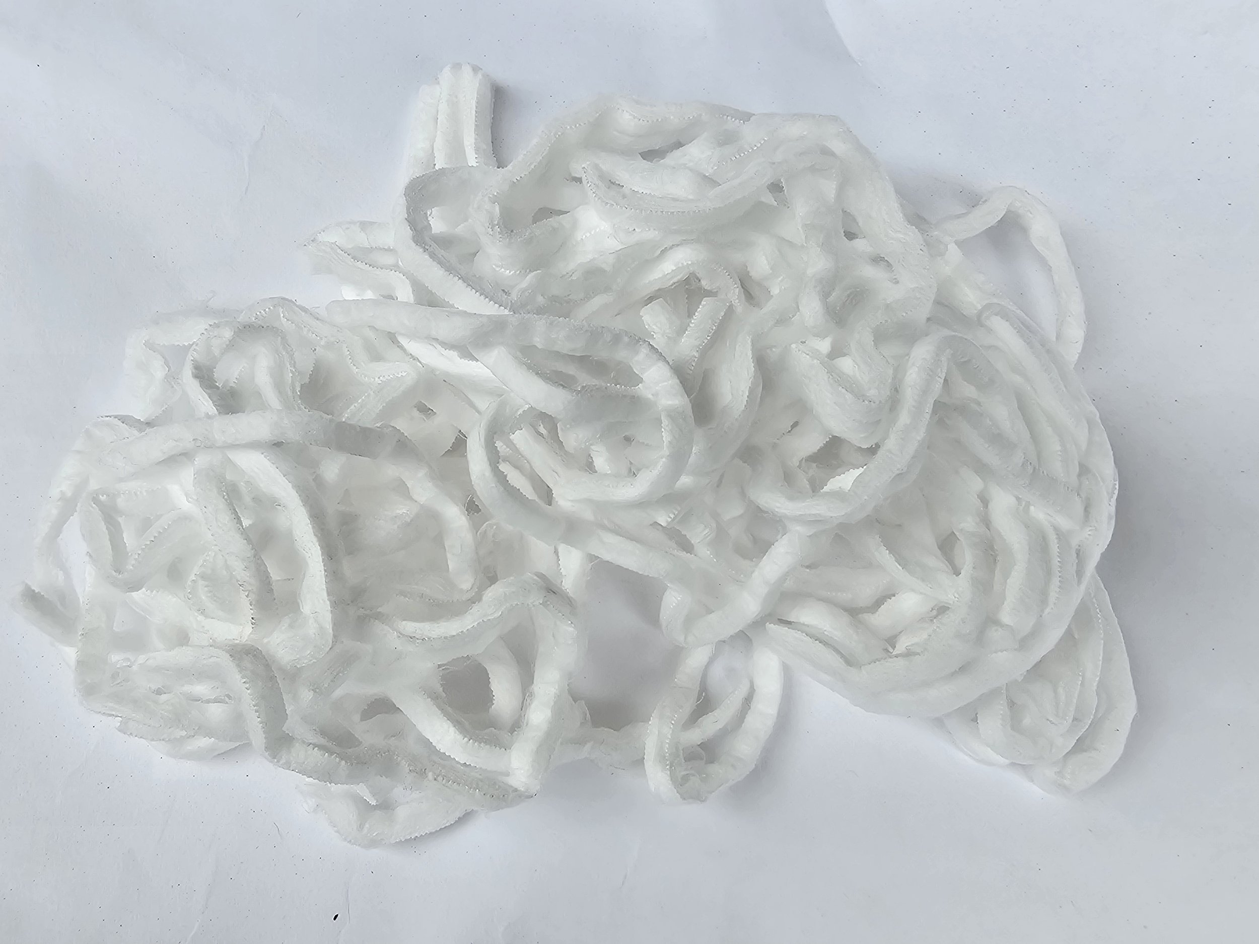 SP1 Spaghetti (1).jpg