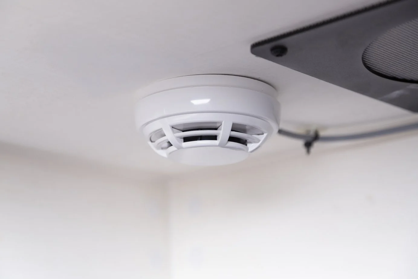 LOXK1100 Detektor.jpg