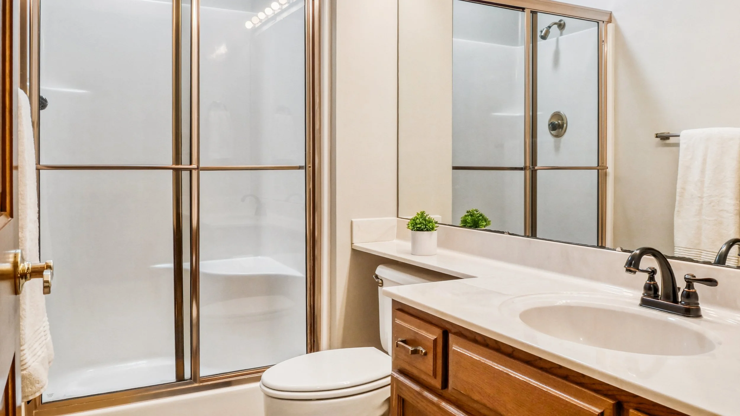 Basement Bathroom.jpg