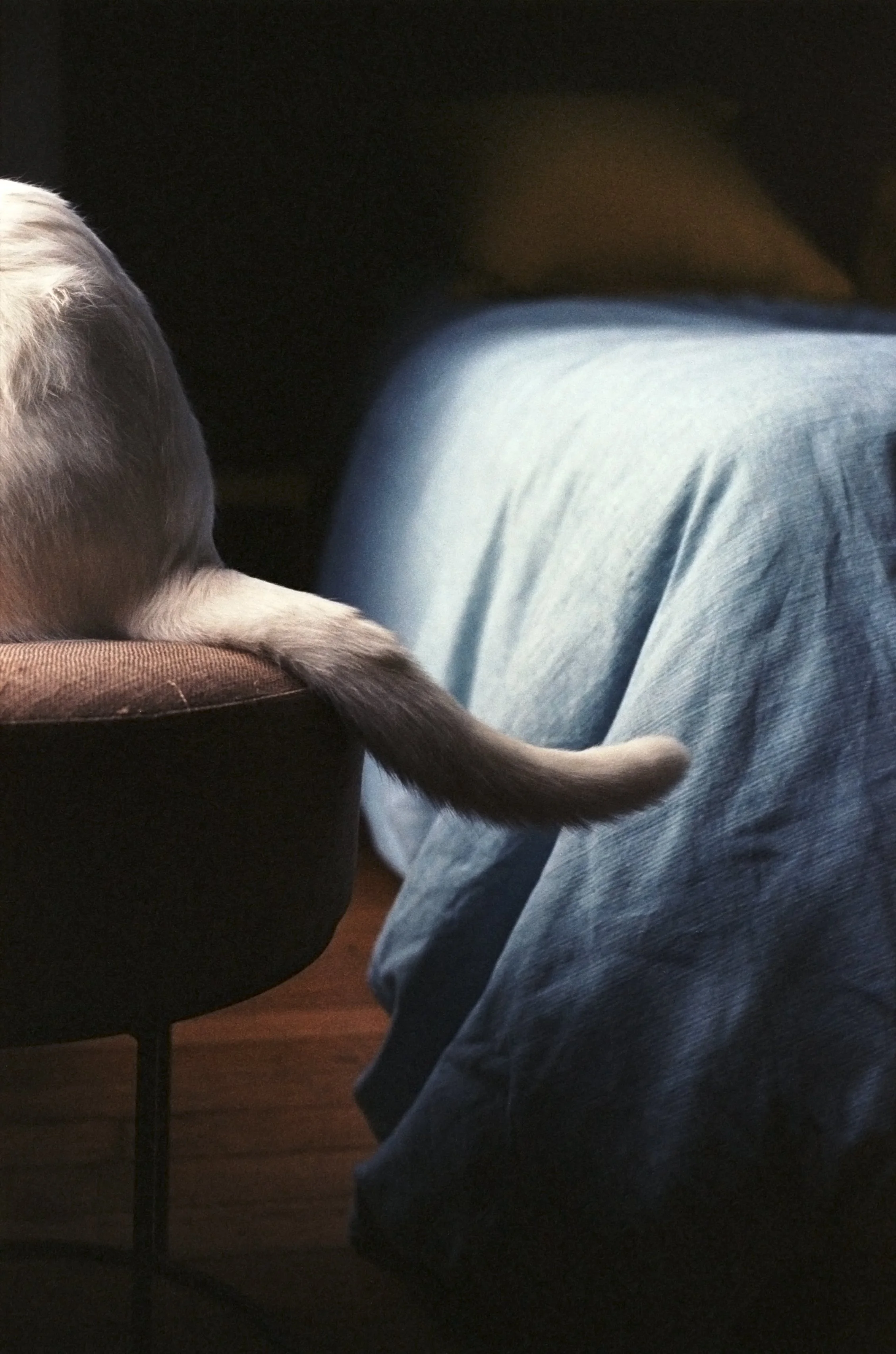 Tonie Portra 400 copie.jpg