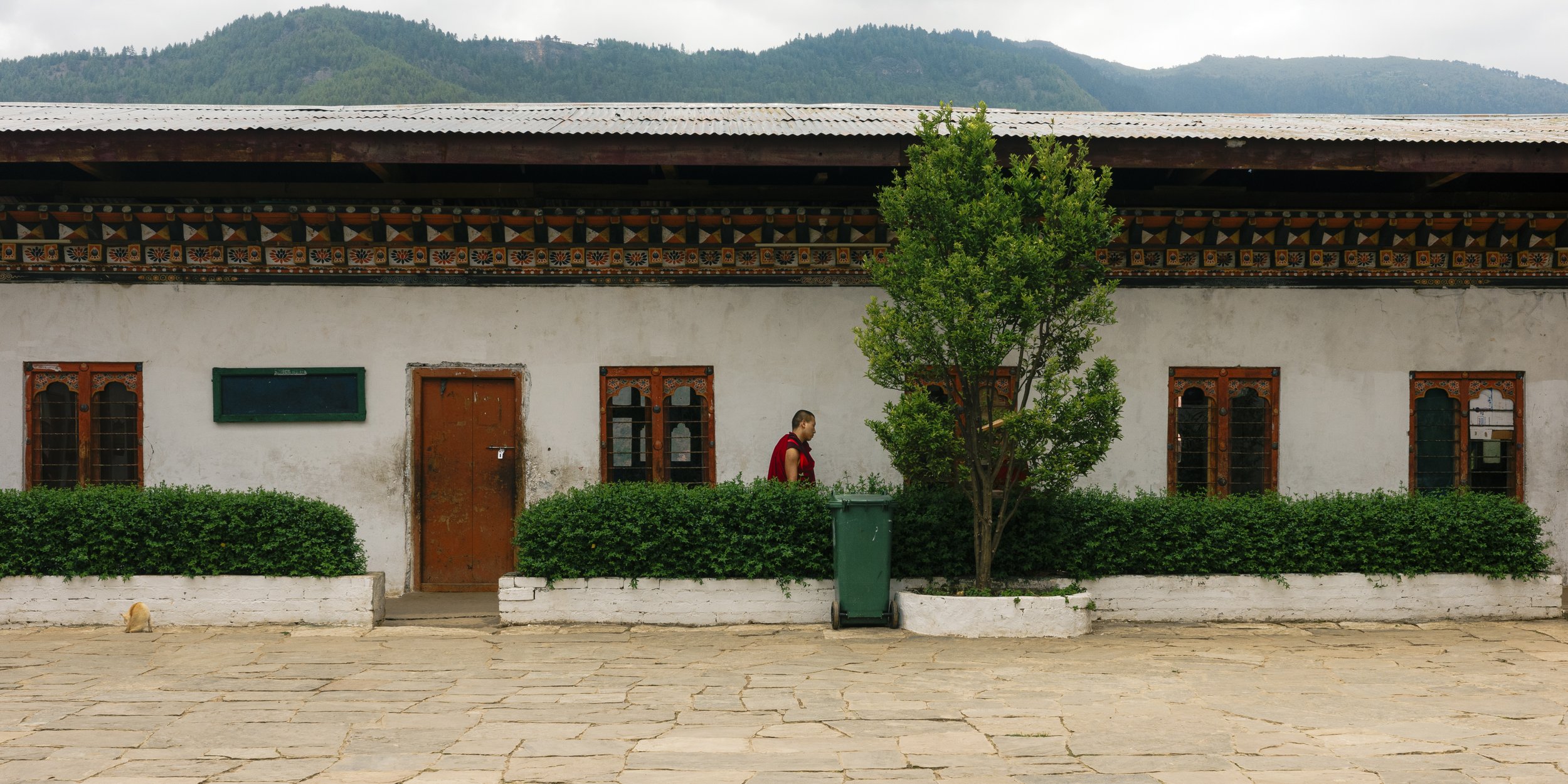 _R001243.jpg