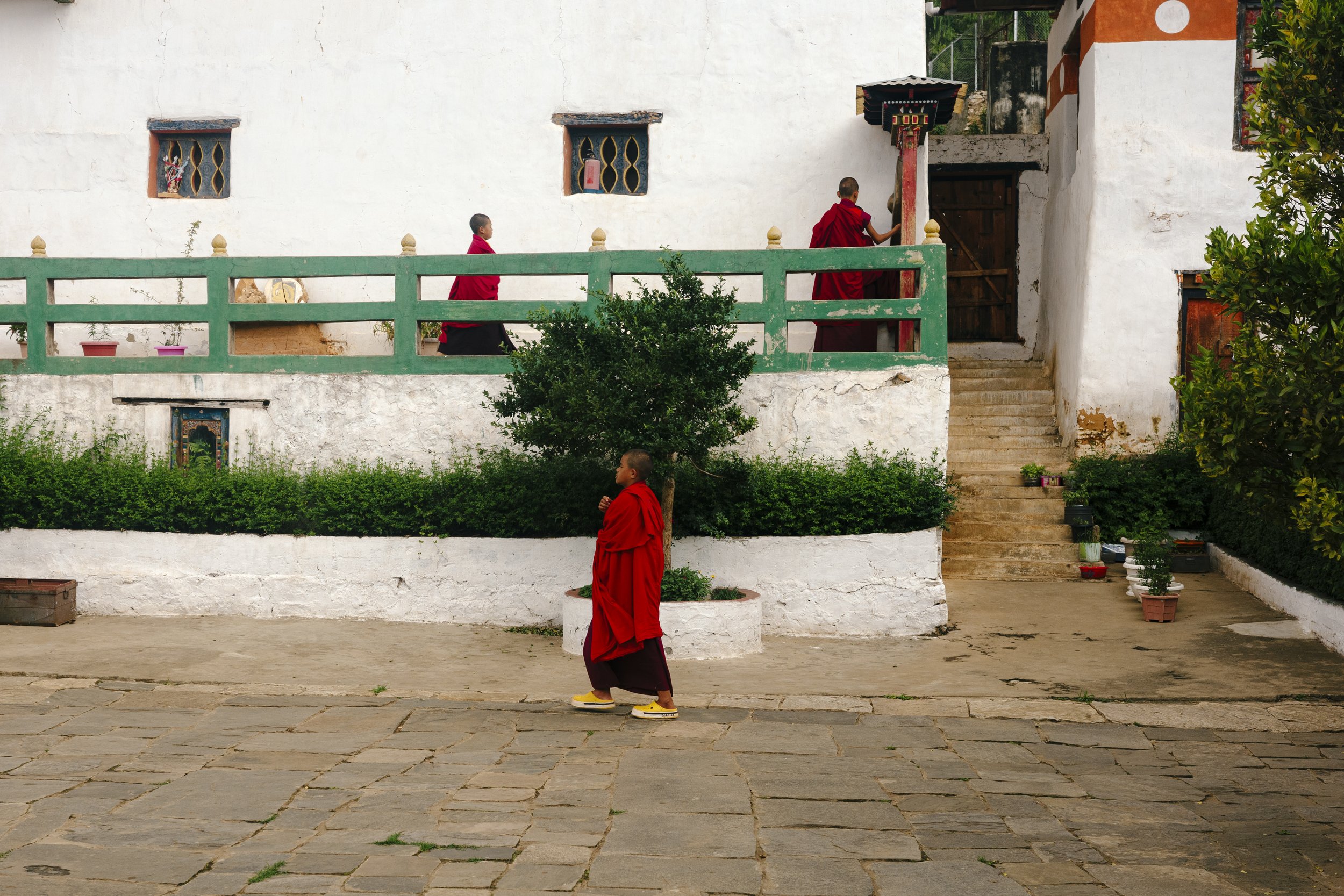 _R001884.jpg