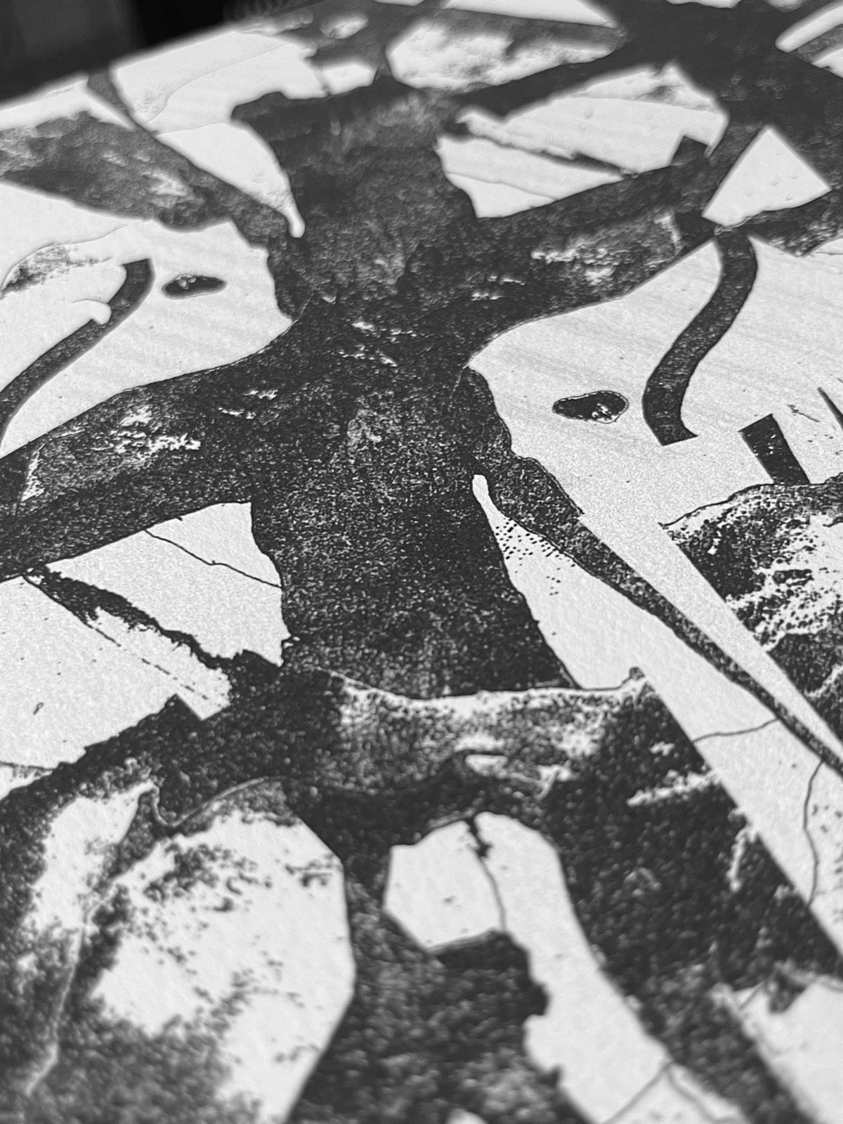 WhatsApp Image 2024-10-27 at 09.43.49 (1).jpeg