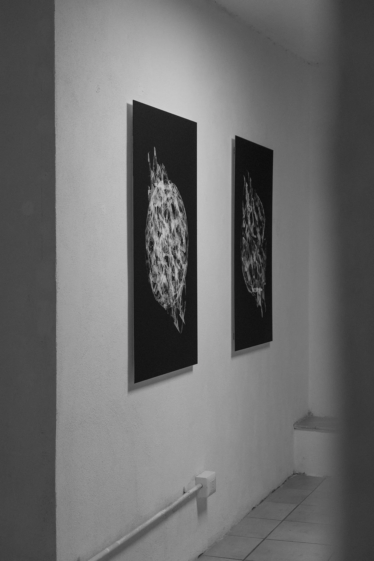 Andregrauen - plnt overview - lq.jpg