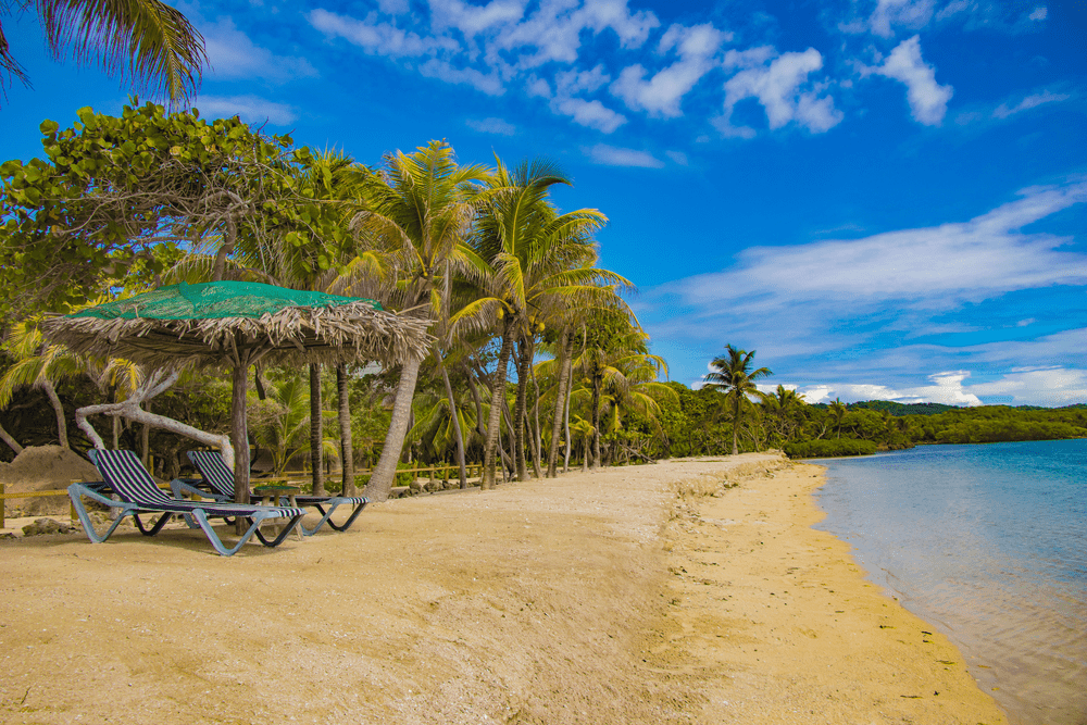 A quiet palm-fringed beach on Roat&aacute;n, Honduras