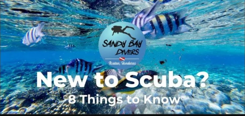 New to Scuba? 8 Things to Know Before Your First Dive in Roatán