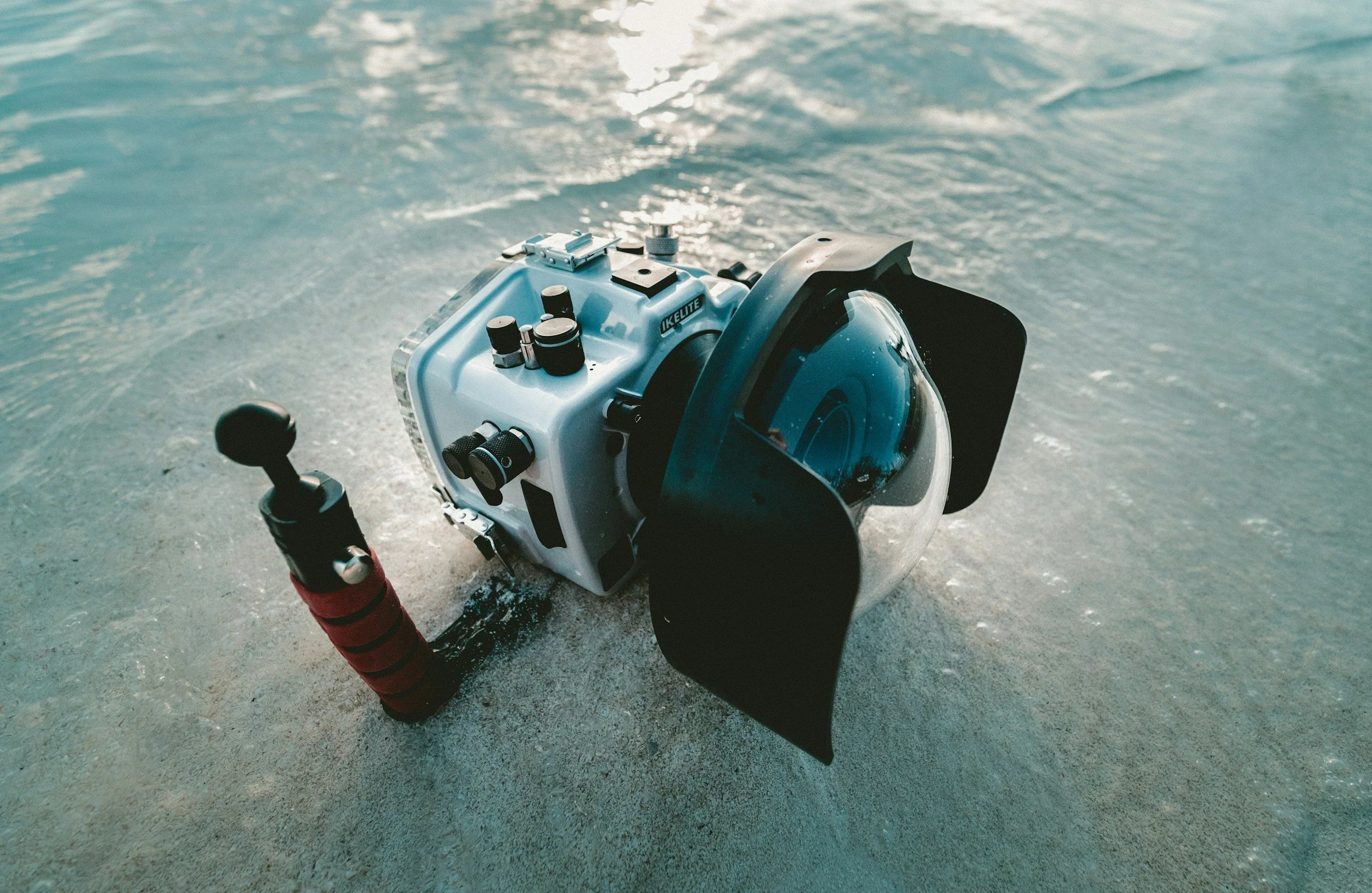 Underwater Photography in Roatán: A Diver’s Guide to Gear, Skills and Great Shots