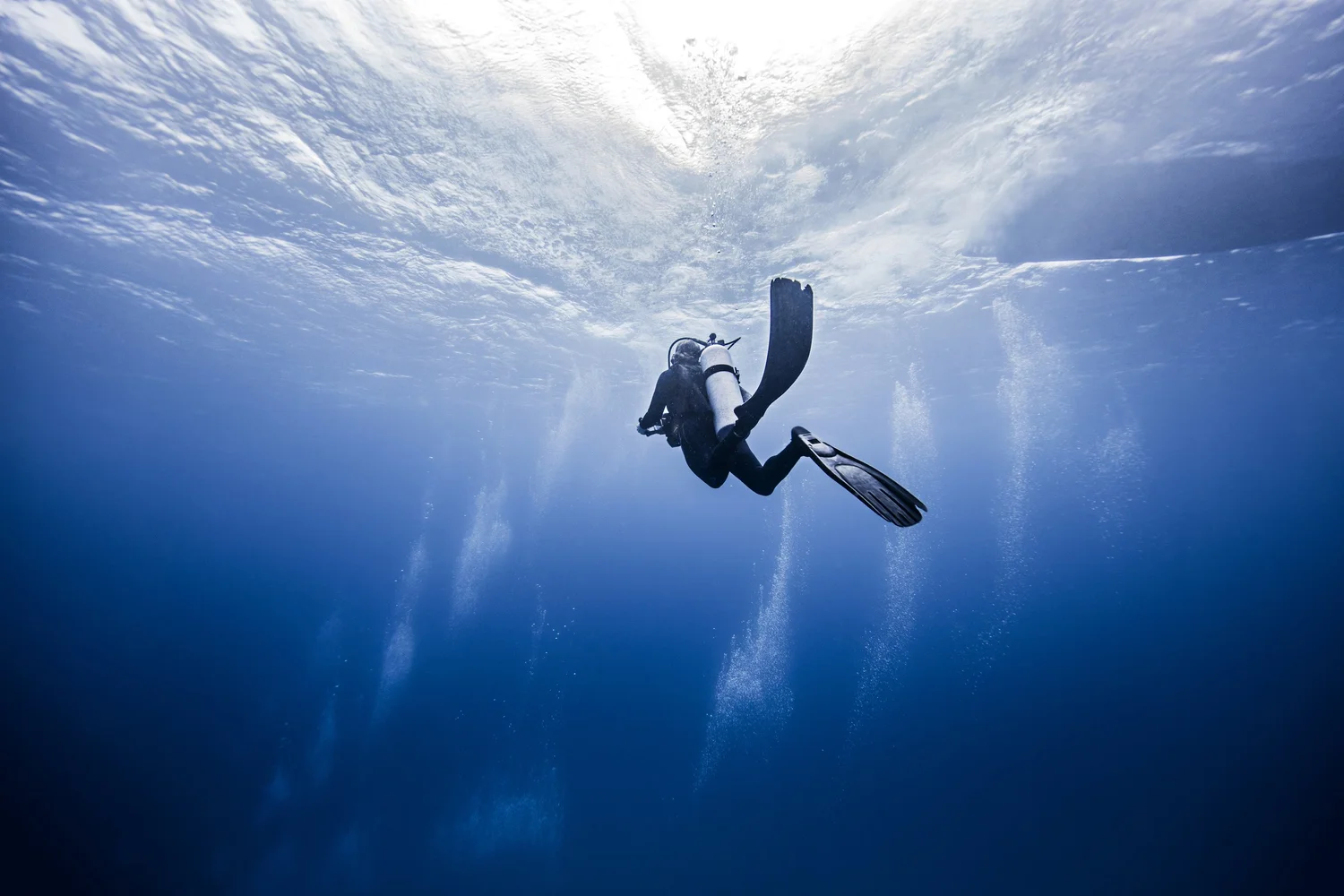 A scuba diver exploring the reef near Roatán, Honduras