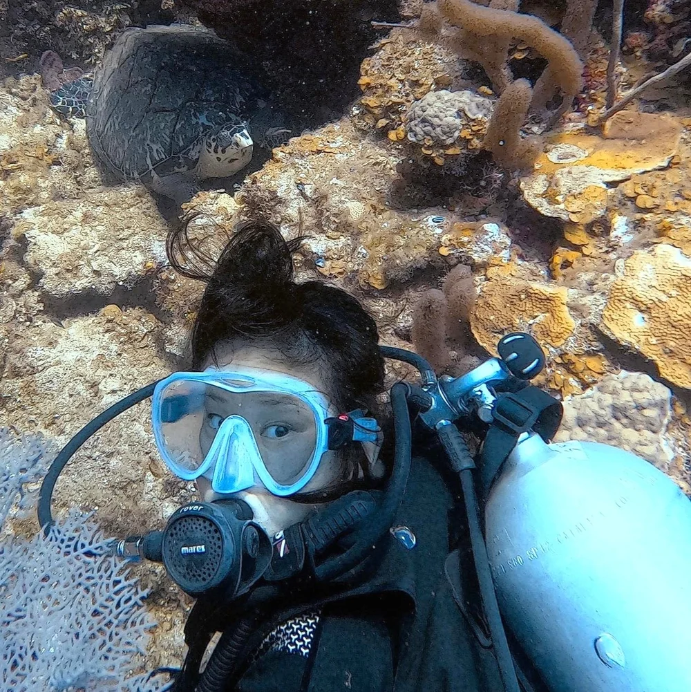 A diver on the reef with a hawksbill turtle behind, Sandy Bay Divers