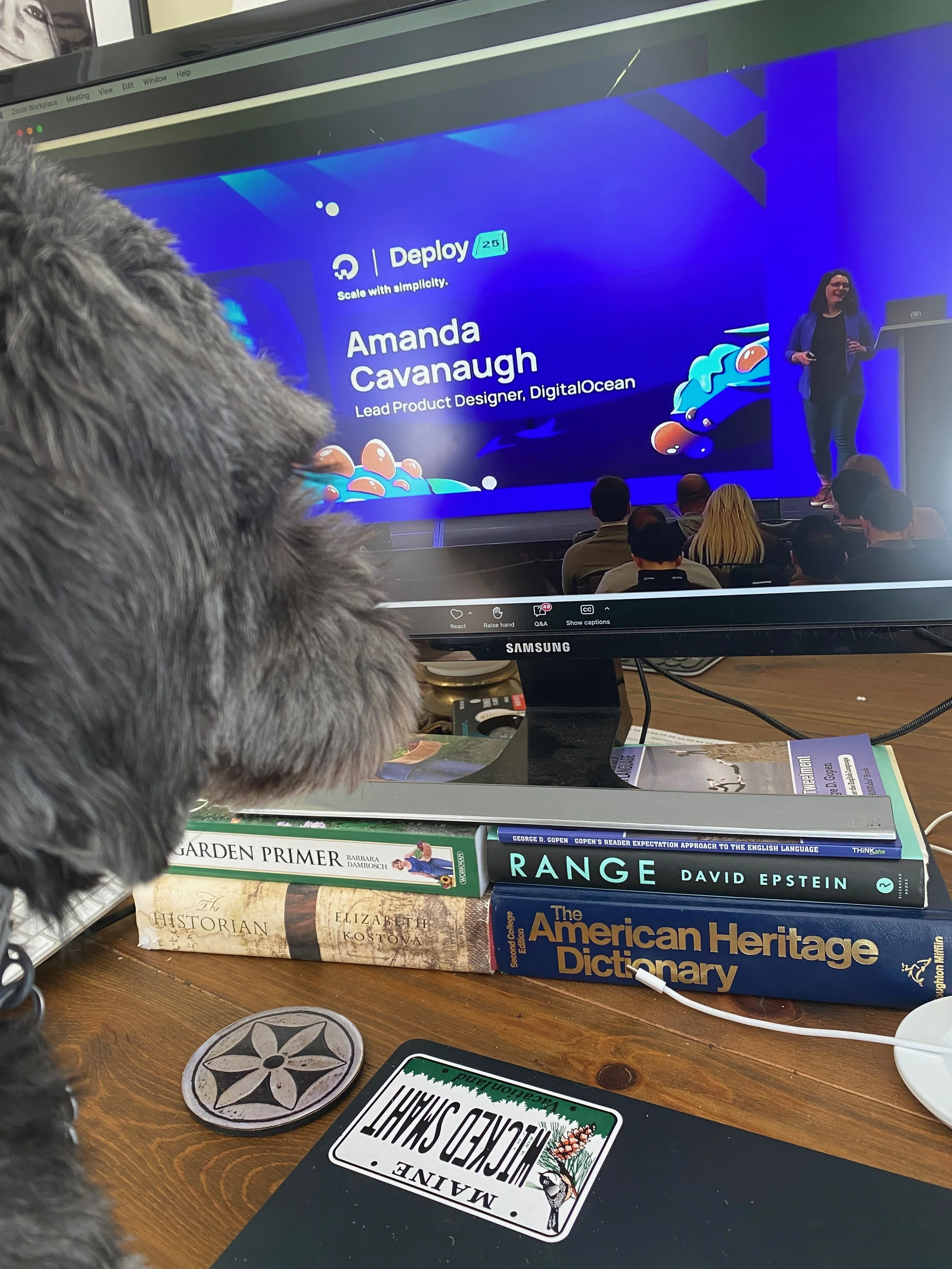 My husband (and dog) watching from afar
