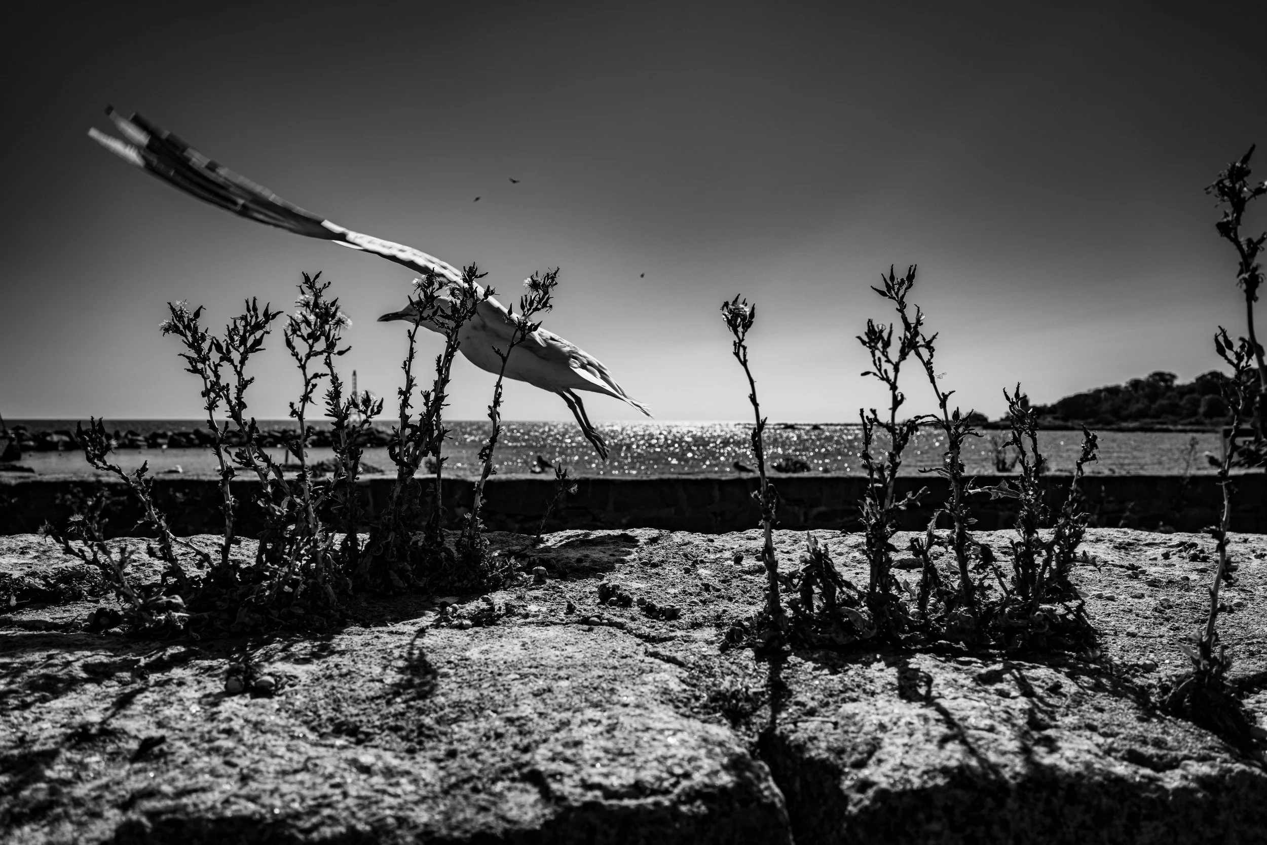 bornholm_2026-32.jpg