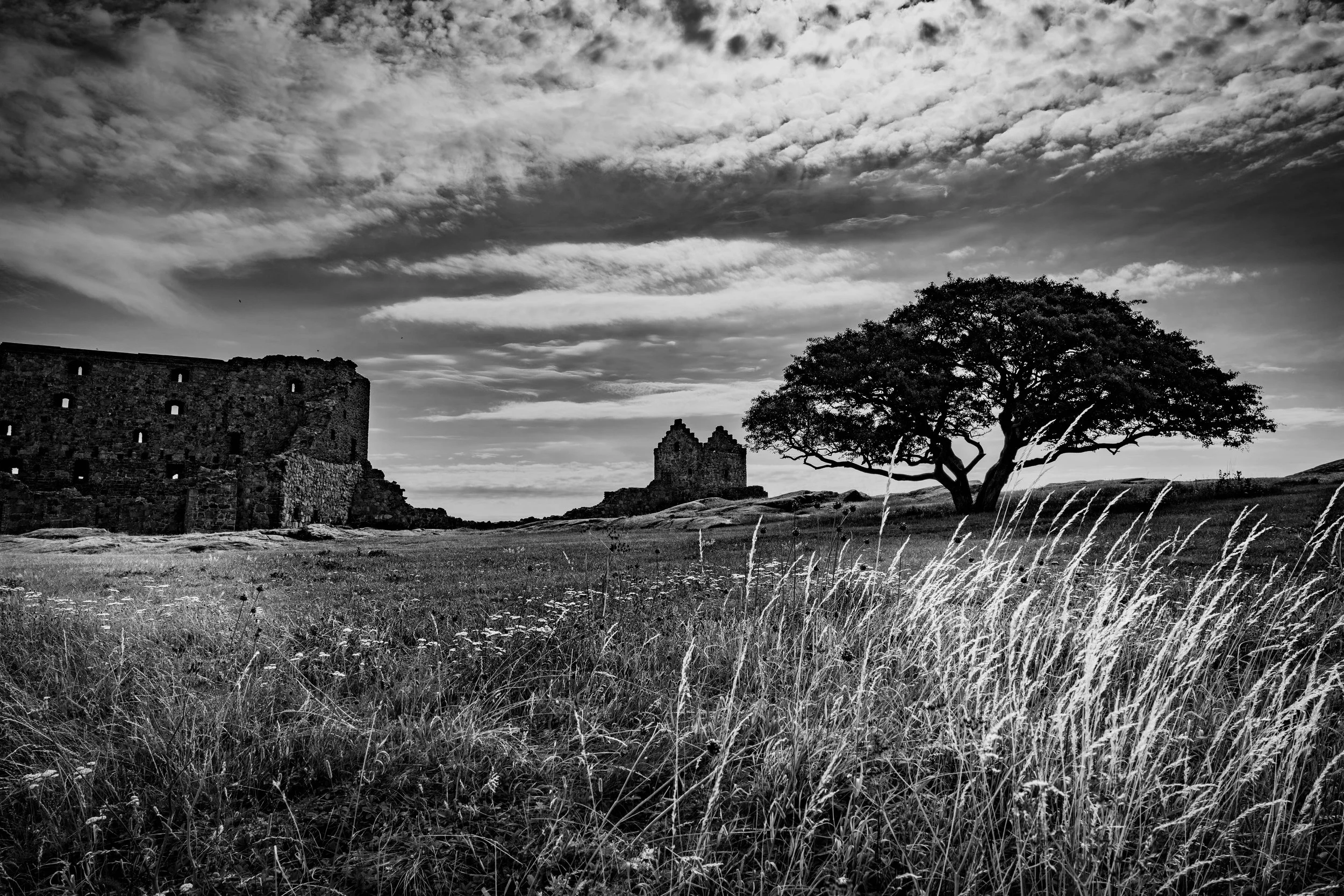 2026.07.08_sverige_og_bornholm-7.jpg