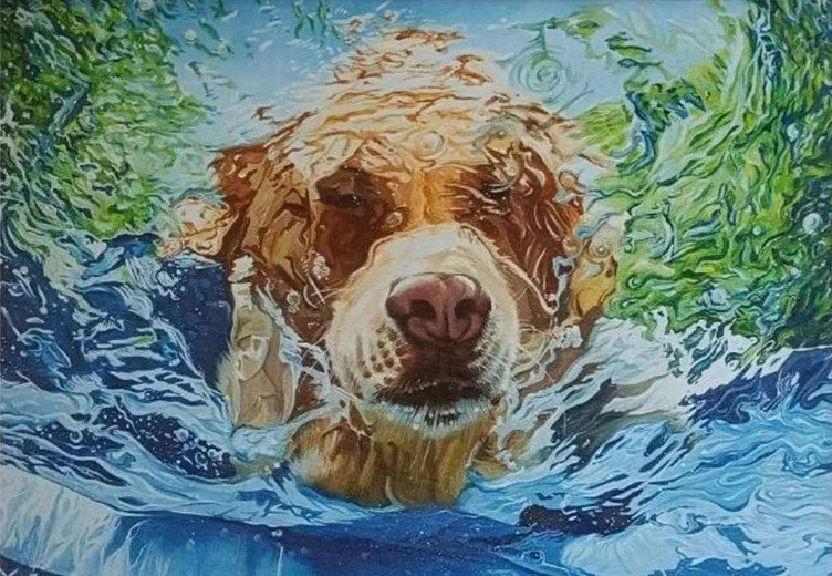 Limited Edition Prints