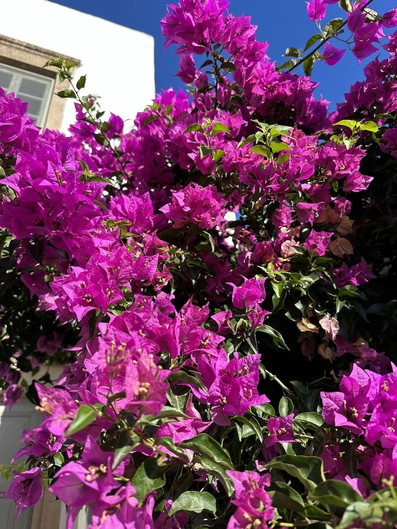 Pink Patmos.jpeg