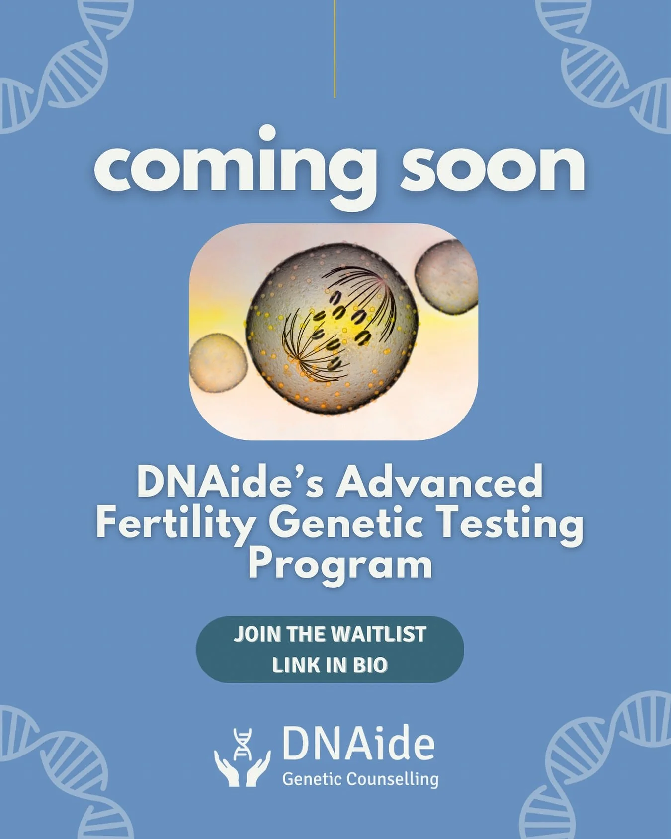 Coming soon!

DNAide will soon be launching our Advanced Fertility Genetic Testing Program. New genes have been discovered that can lead to infertility and IVF failure, including OZEMA, fertilization failure, and more. Genetic testing can provide imp