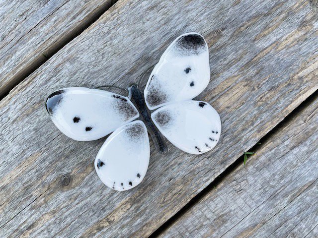 White Butterfly