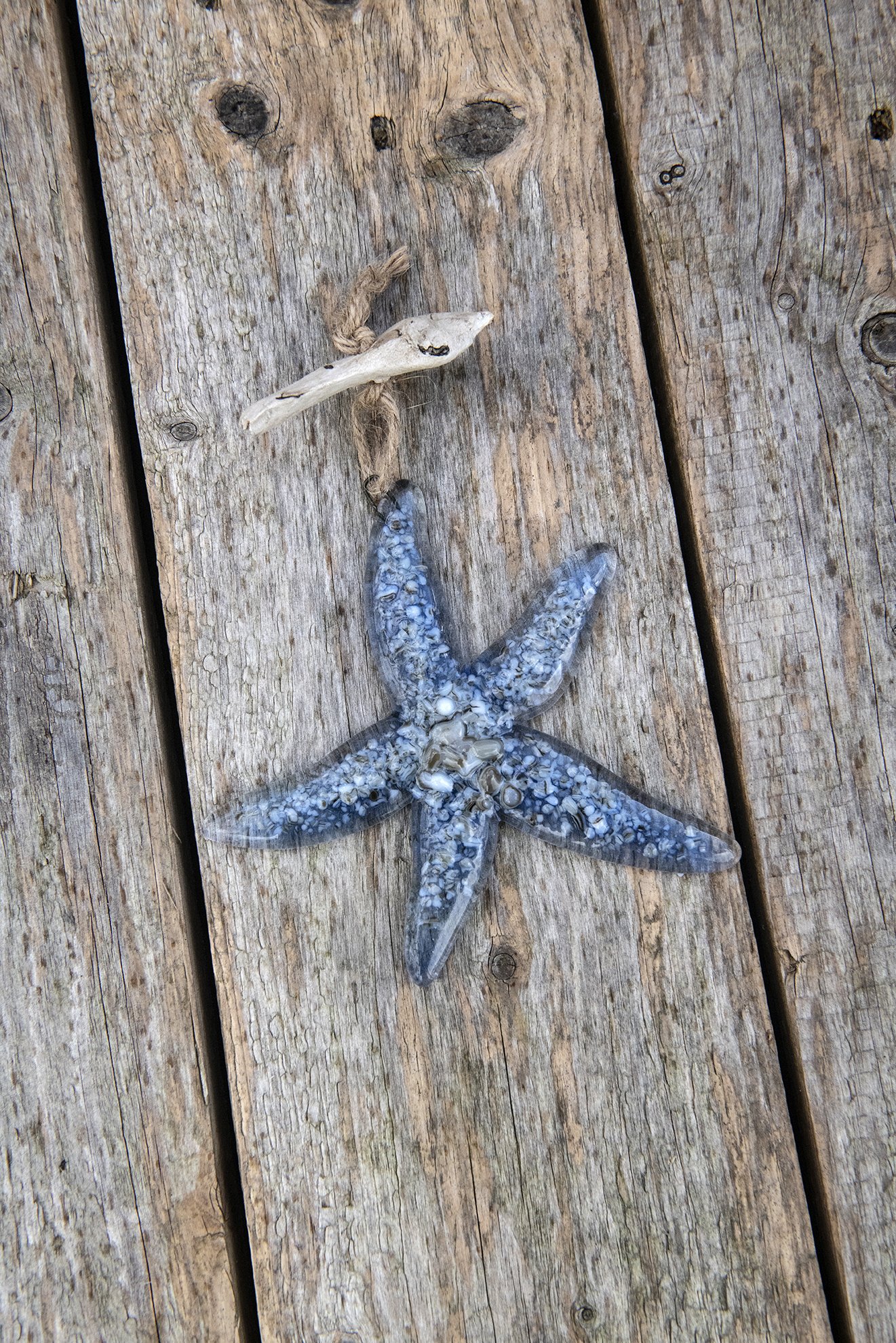 Blue Starfish