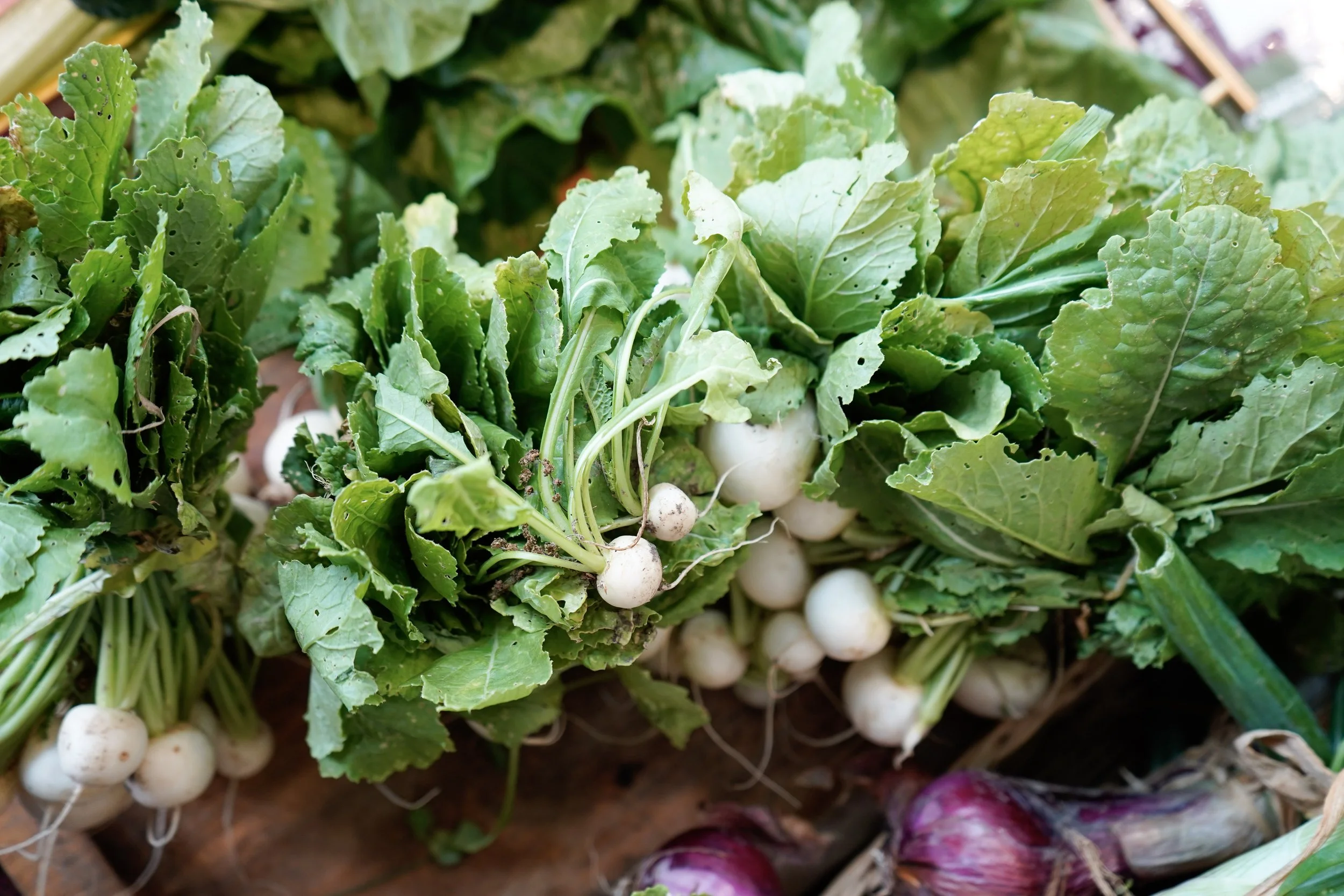 Farmers’ Market Wrap