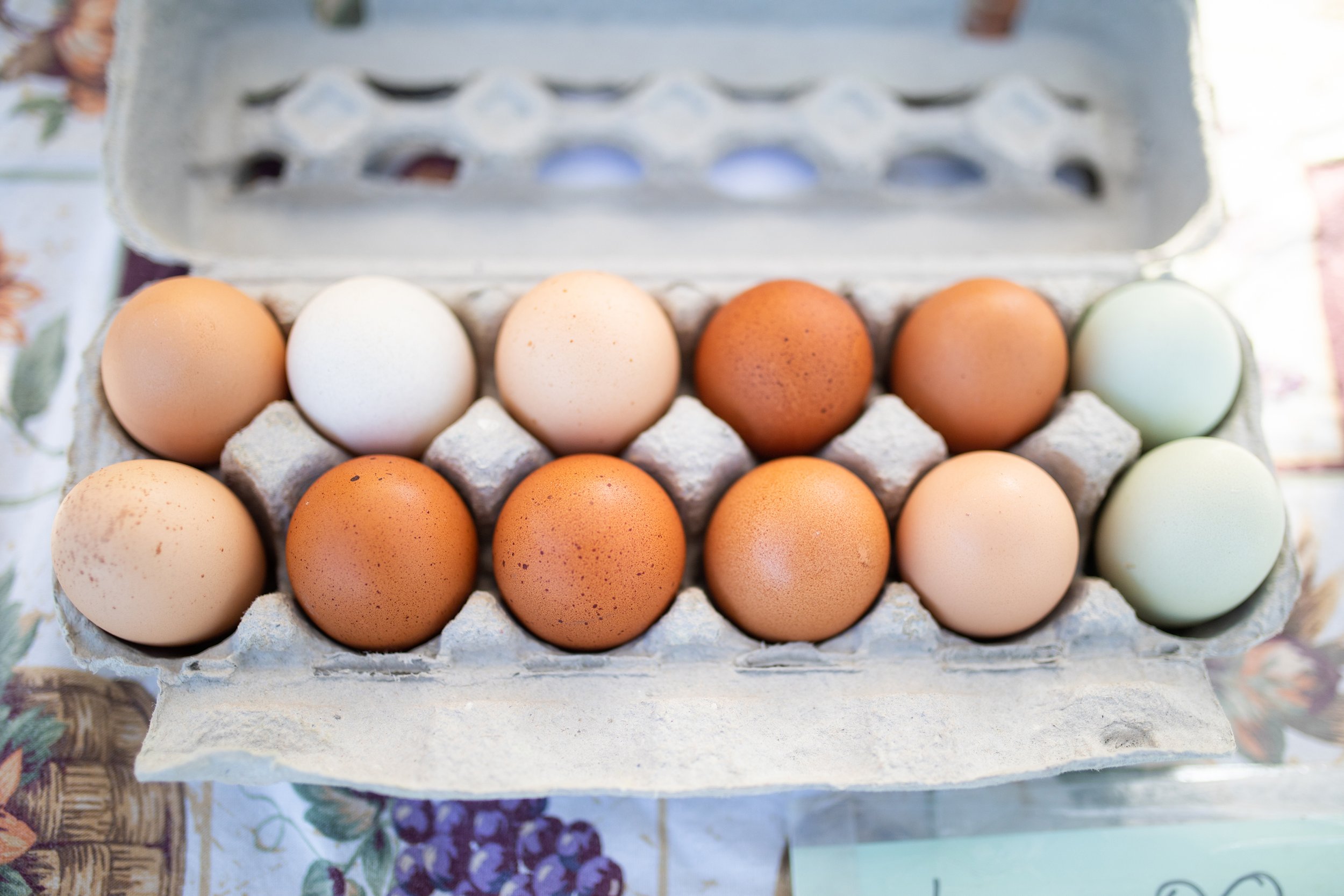 Carton of twelve multicolored eggs in shades of brown, white, and blue.