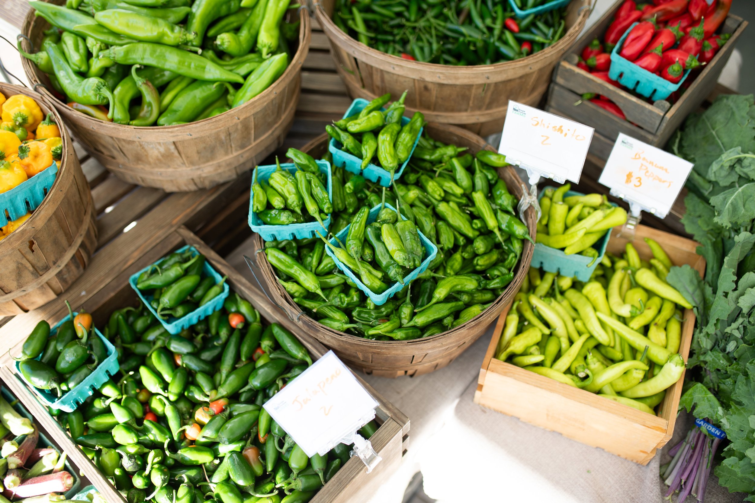 Assortment of peppers including shishito, jalapeño, and banana peppers, displayed in baskets and crates at a market.