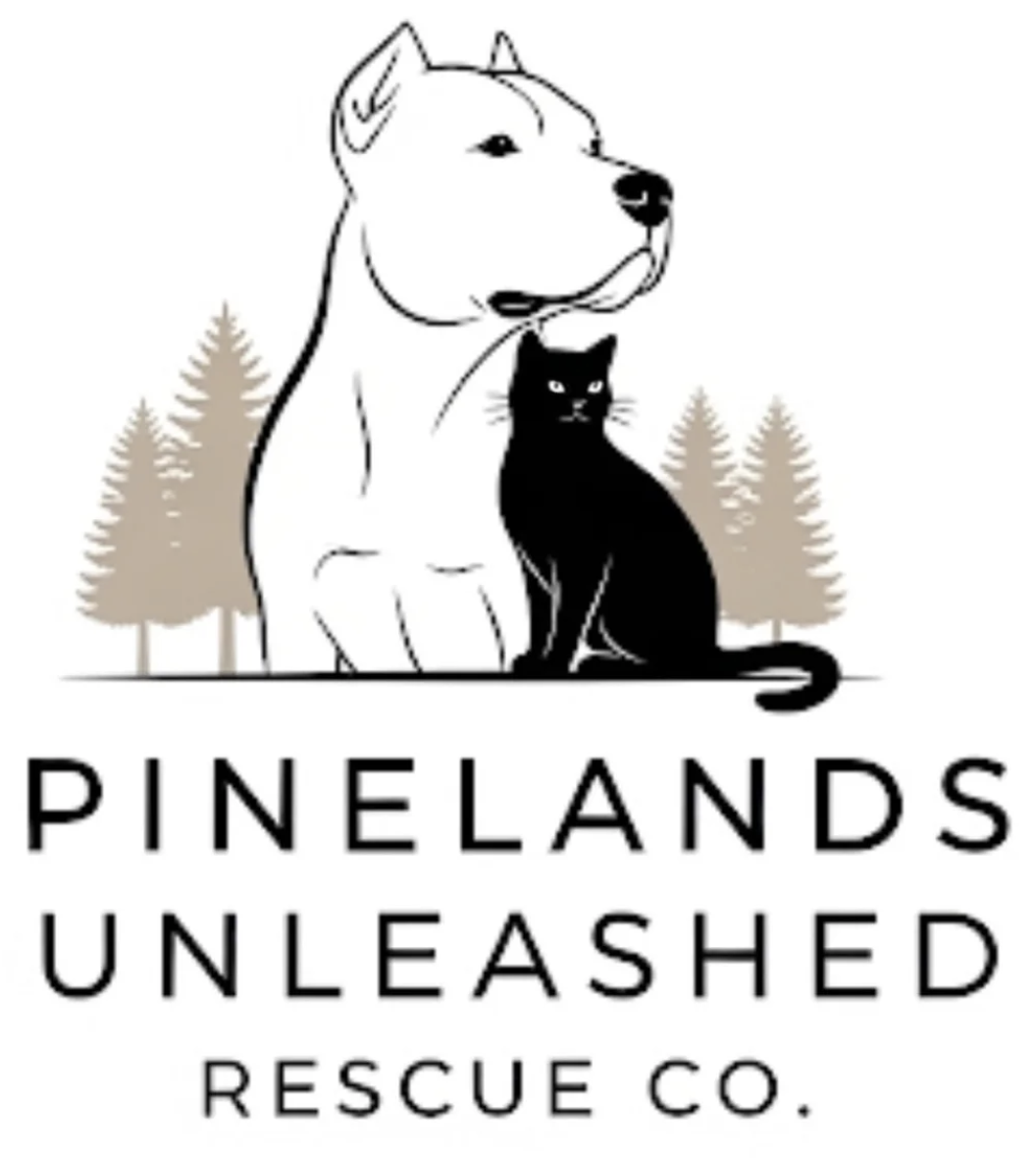 Pinelands Unleashed Rescue