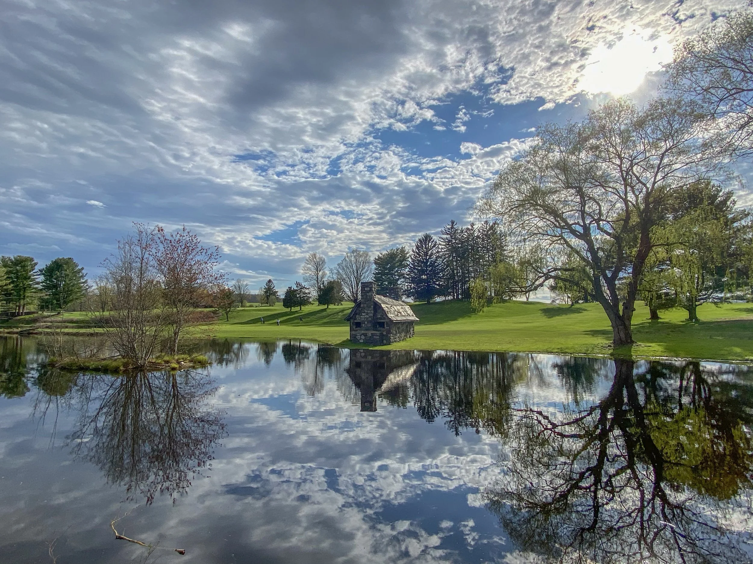 GOLF1.jpg